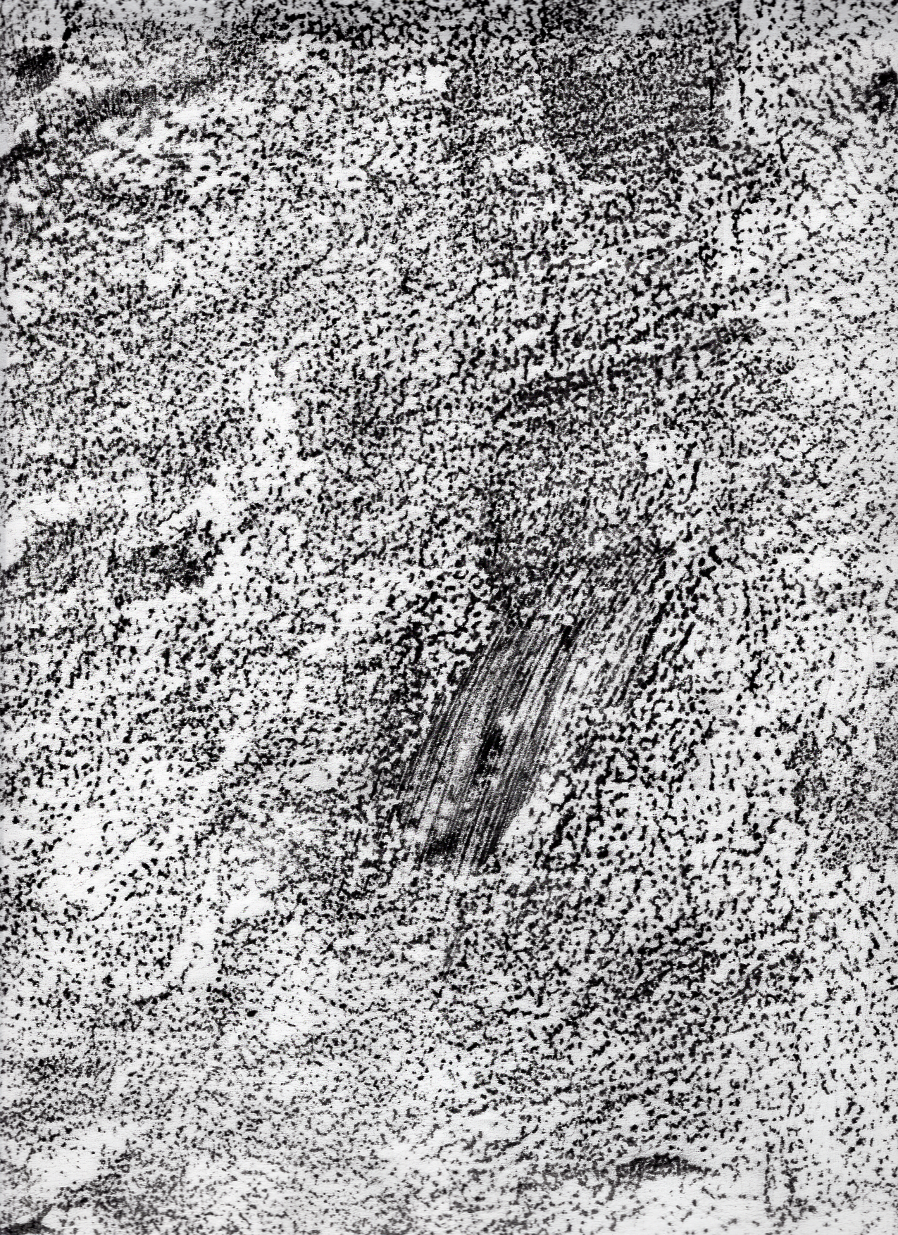 graphite relief of Godine Gallery wall