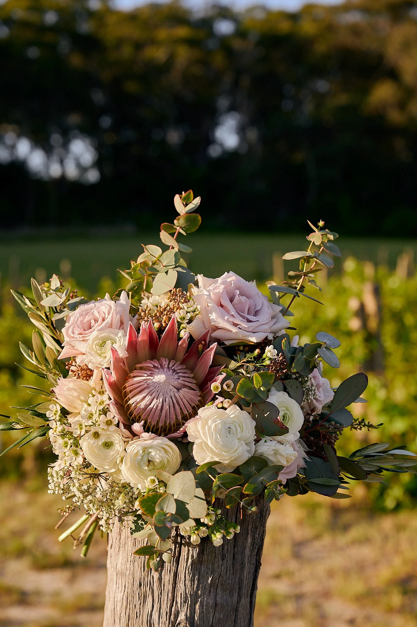 221015_Steve+Anna1433.jpg