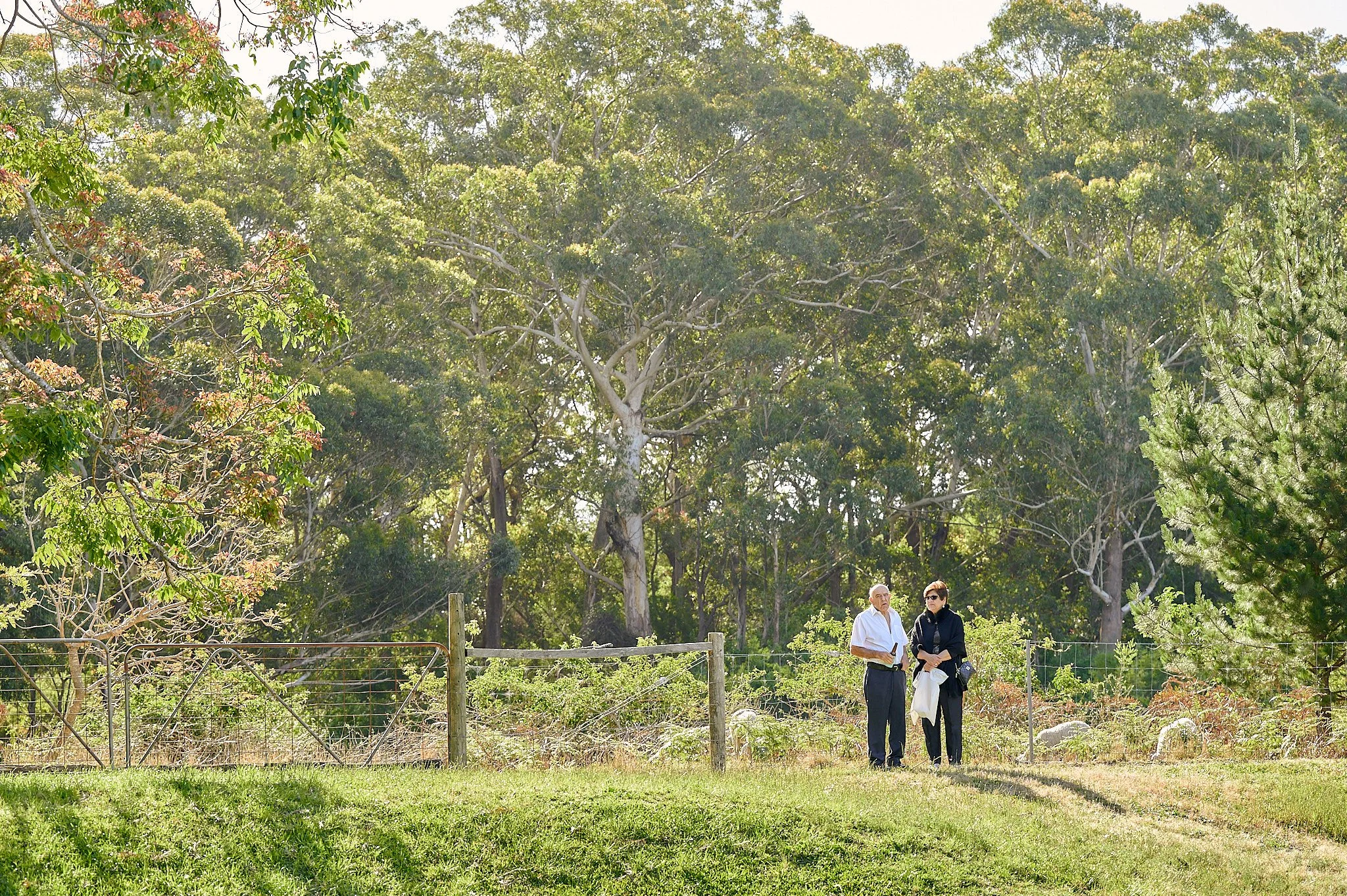 221015_Steve+Anna2359.jpg