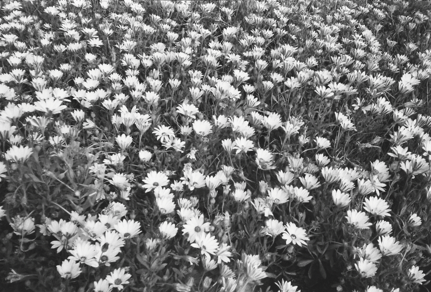 Screen Shot 2022-07-07 at 3.45.49 PM.png