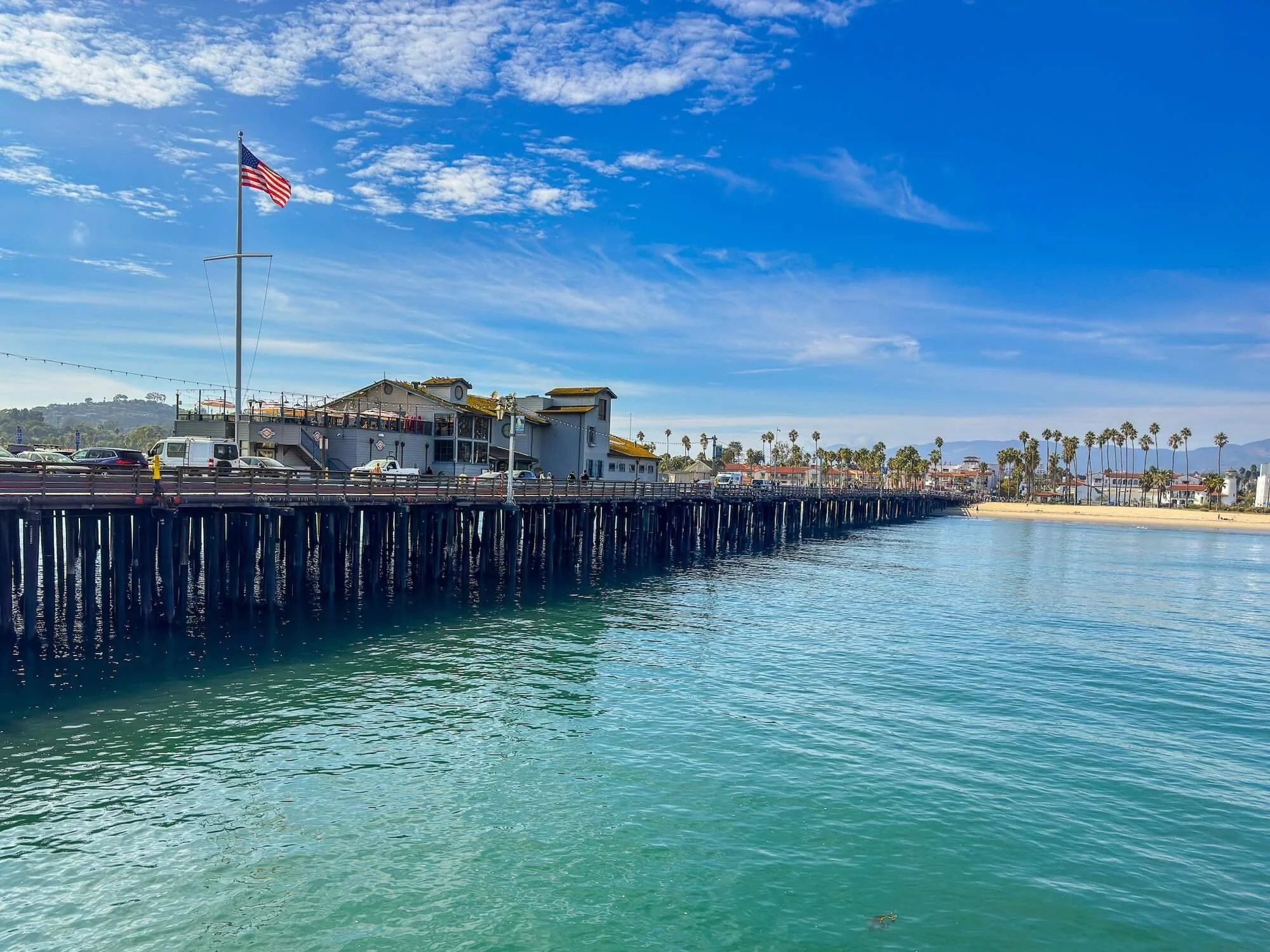 Ocean pier with a beach and palm trees in the background