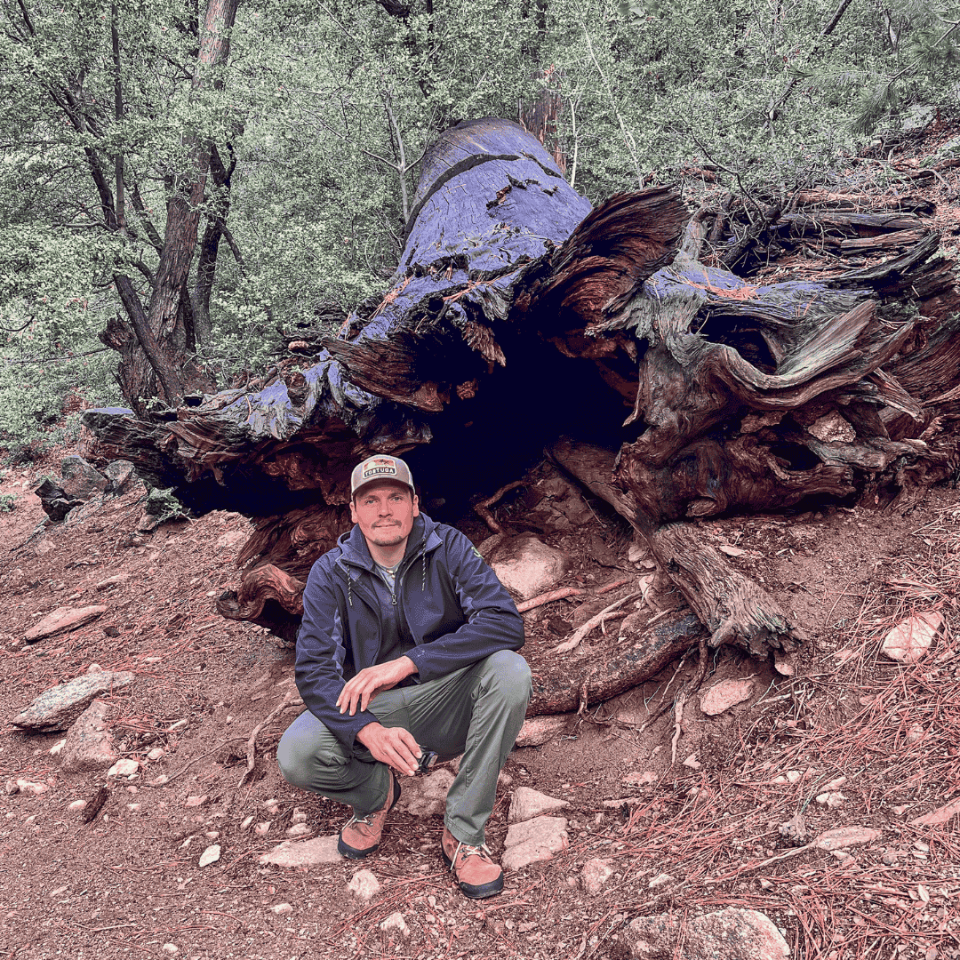 Man in a forest sitting in front of a fallen tree trunk