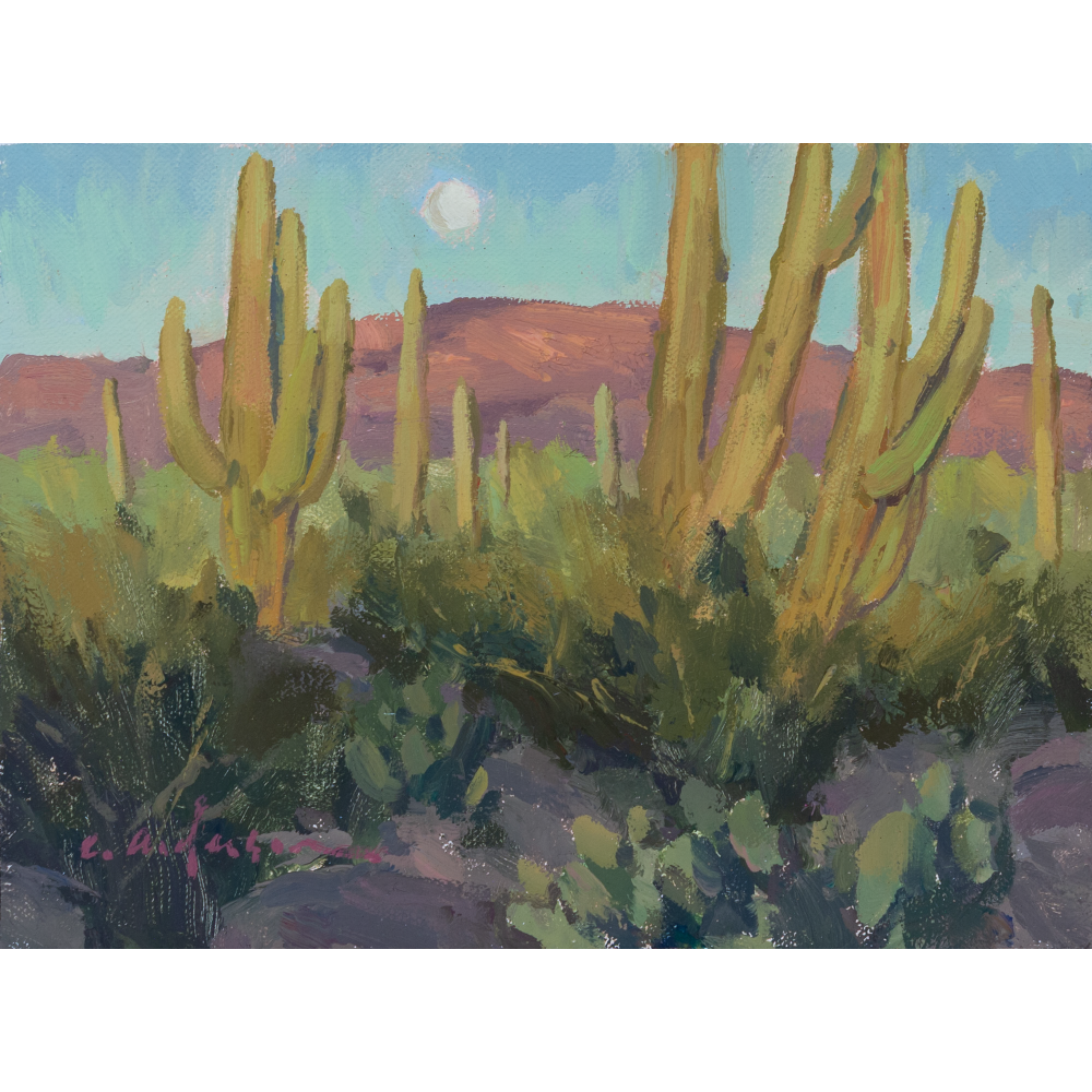 5A.png