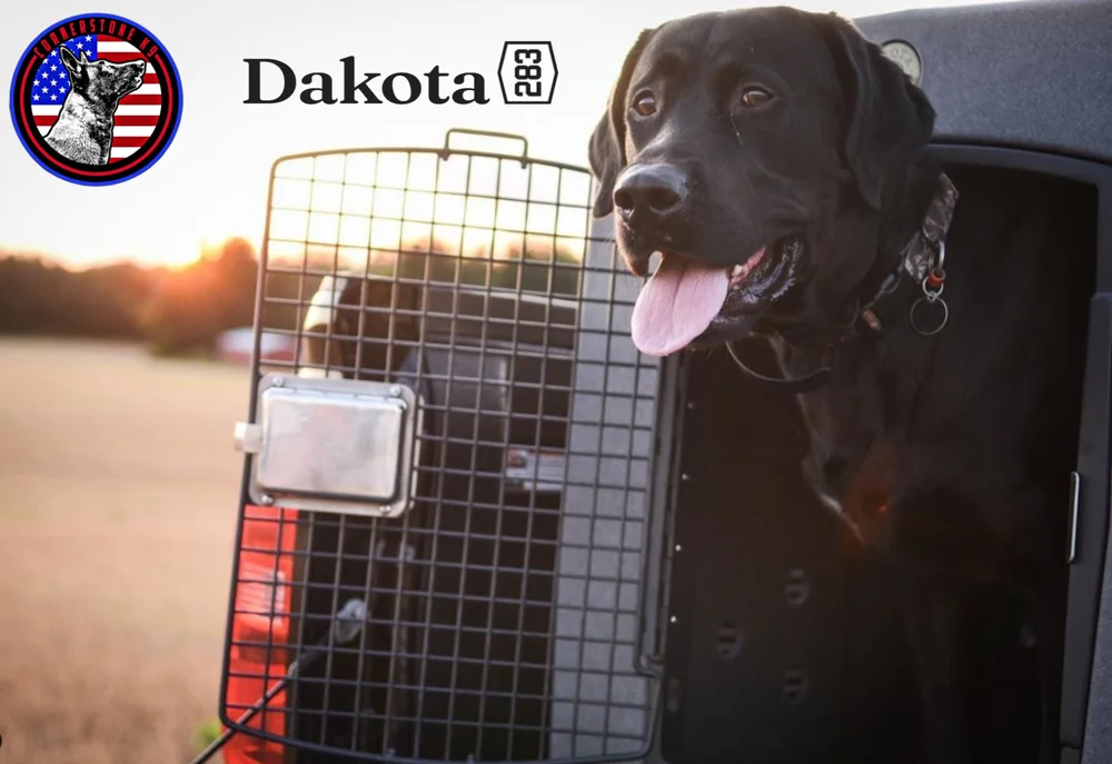 Cornerstone K9 Professional Dog Training In Raleigh, NC