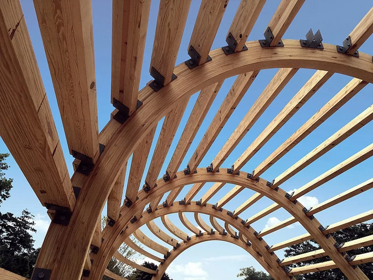 Glulam_Curved_Frames_Closeup.jpg
