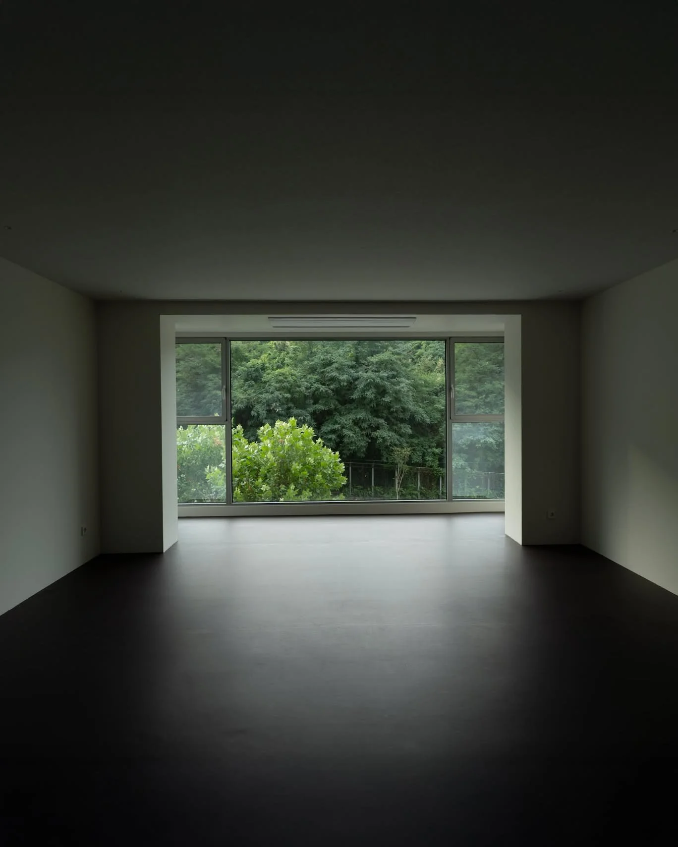 창에 담긴 푸른 순간들에 대한 기록

A record of verdant moments framed in the window