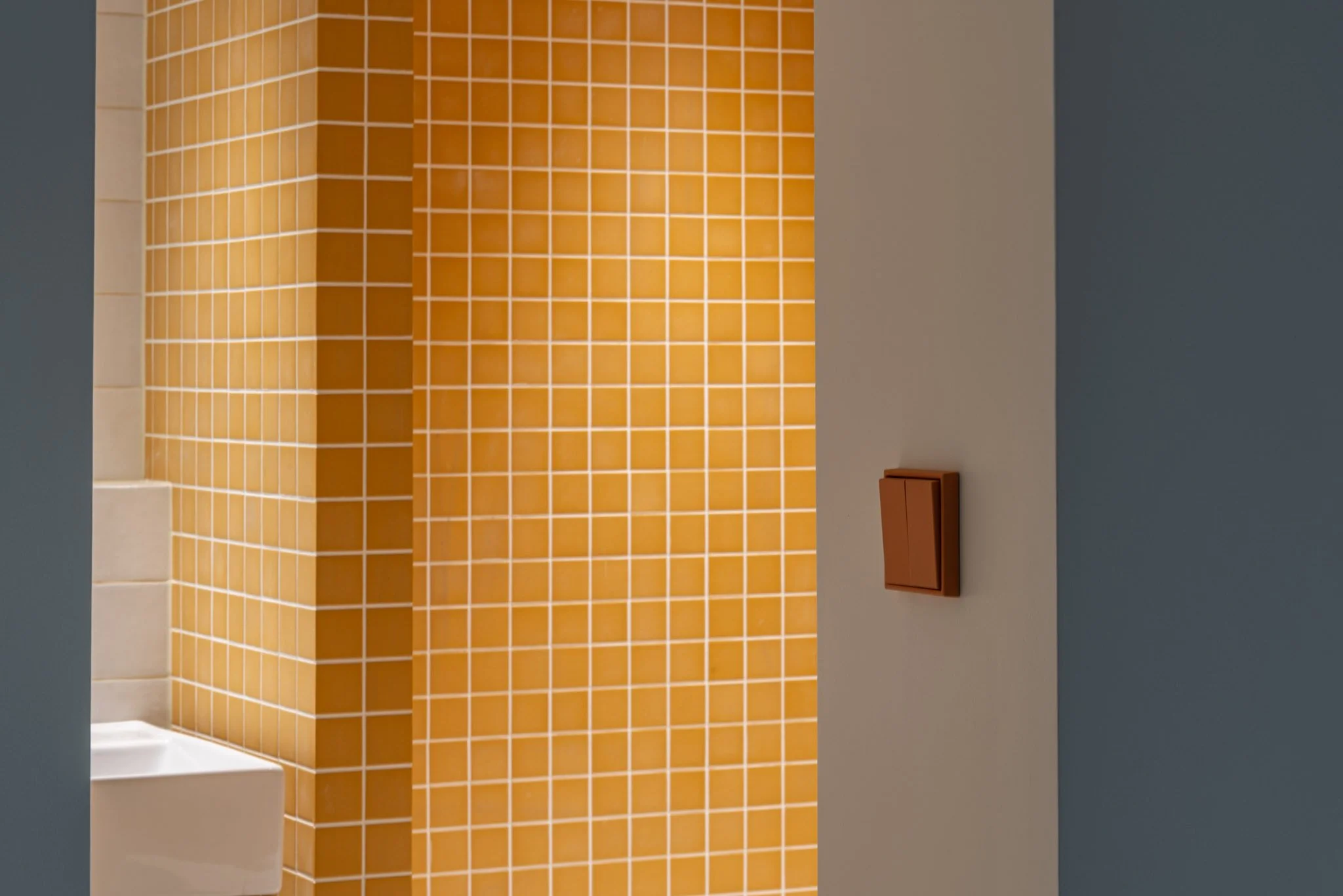 38807abe43fadd25ff1b62ad0f2b0623.jfif