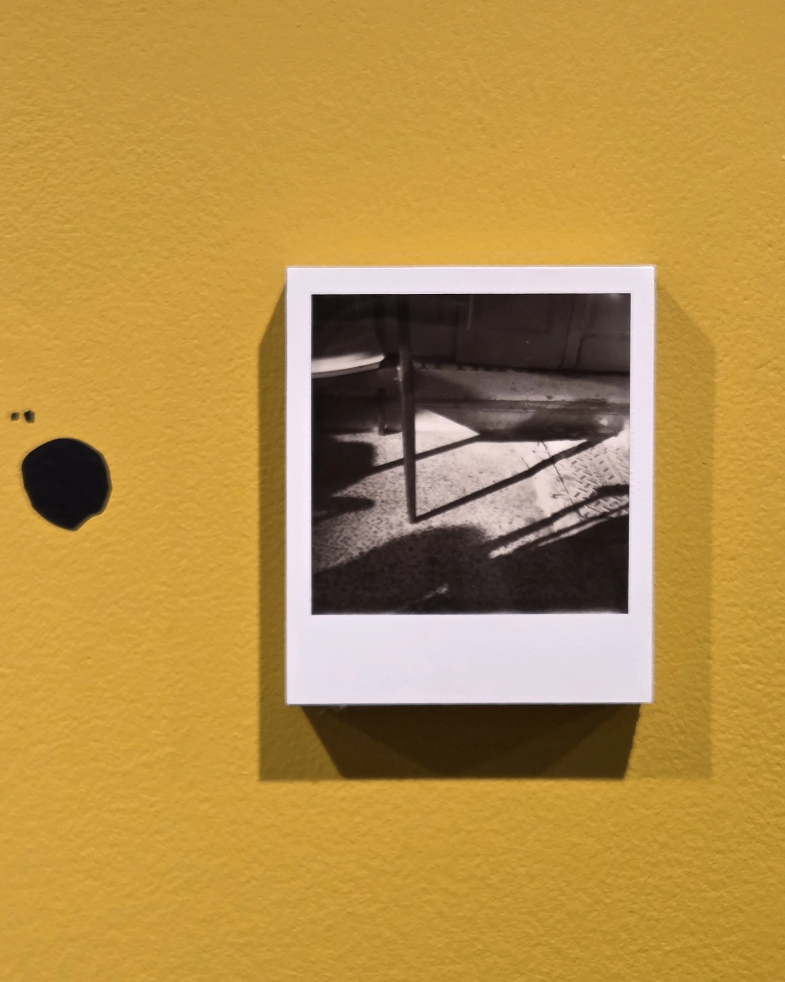 Polaroidman