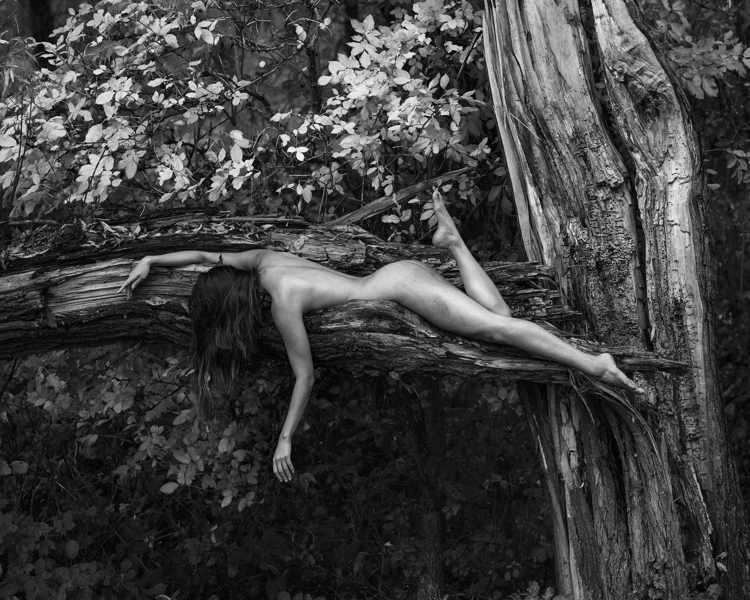 A person lying naked on a fallen tree trunk in a forest, with their long hair covering part of their face, surrounded by leaves and trees.