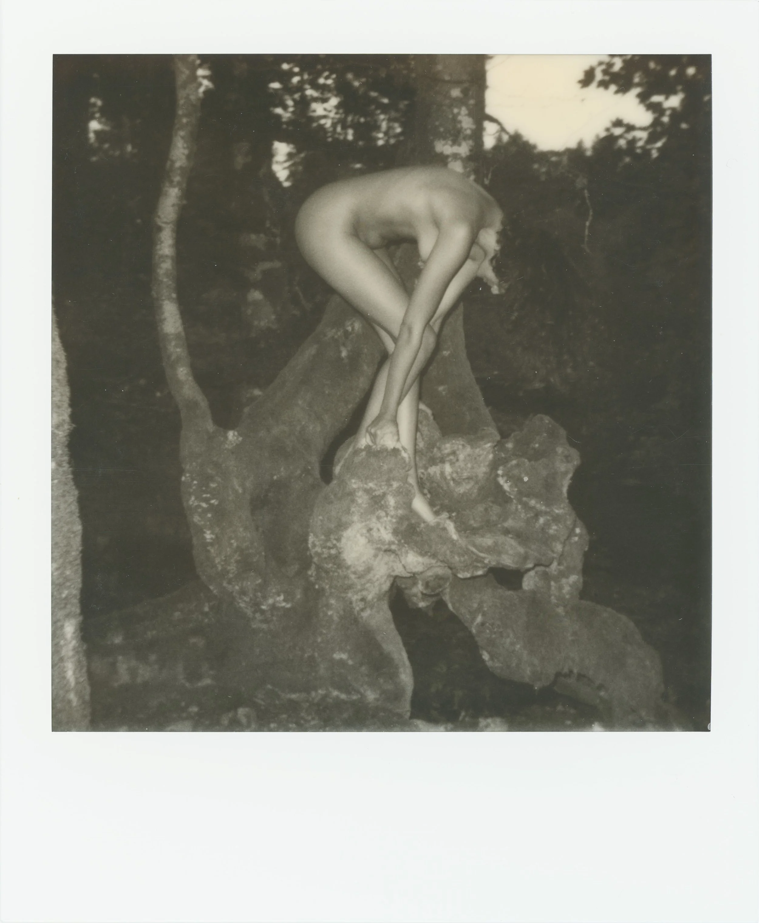 Original Polaroid - Bibracte IV