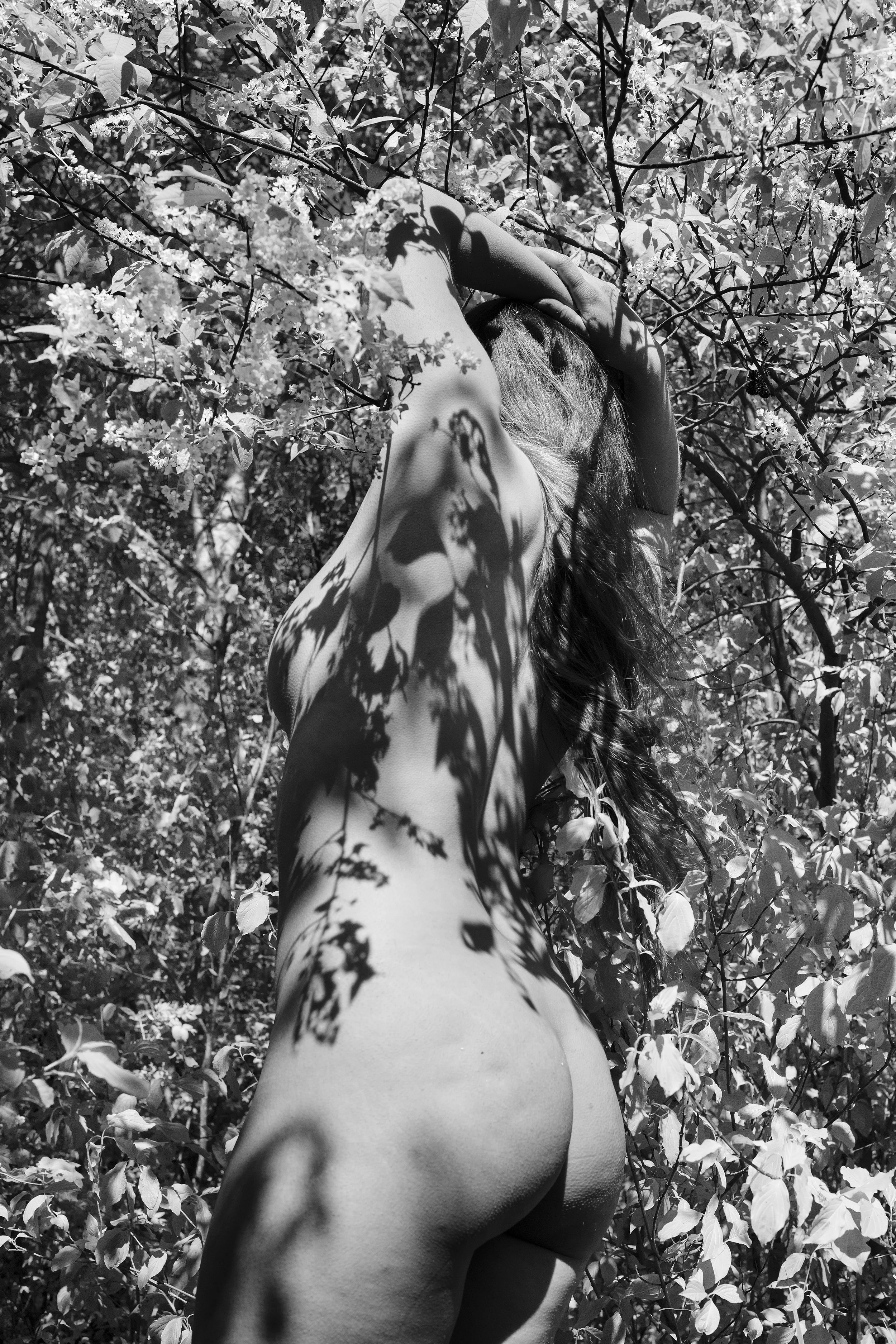A black-and-white photograph of a woman with long, wavy hair. She is depicted from behind, with her arms raised and hands resting on the back of her head. Her body is partially obscured by dense foliage and flowering branches, which cast shadows across her skin.