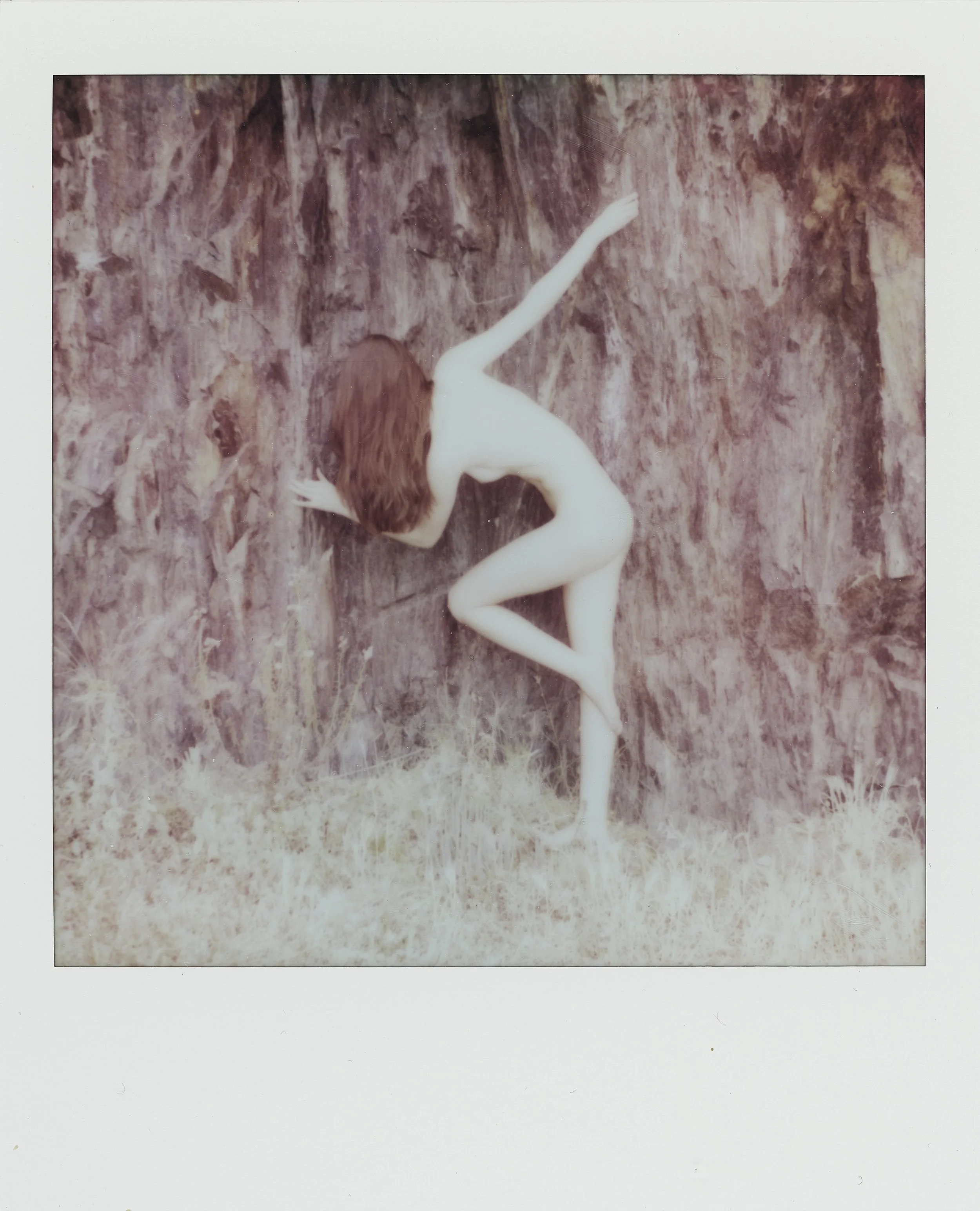 Original polaroid - Mountain wall