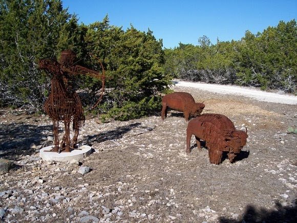 Buffalo Horse