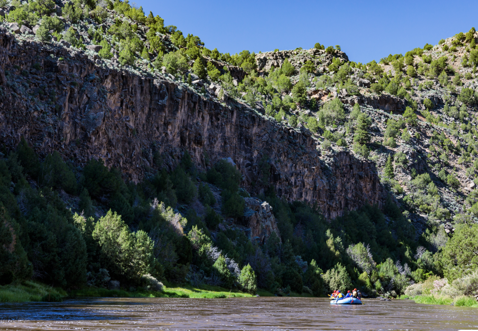 Screen Shot 2023-06-26 at 12.30.42 PM.png