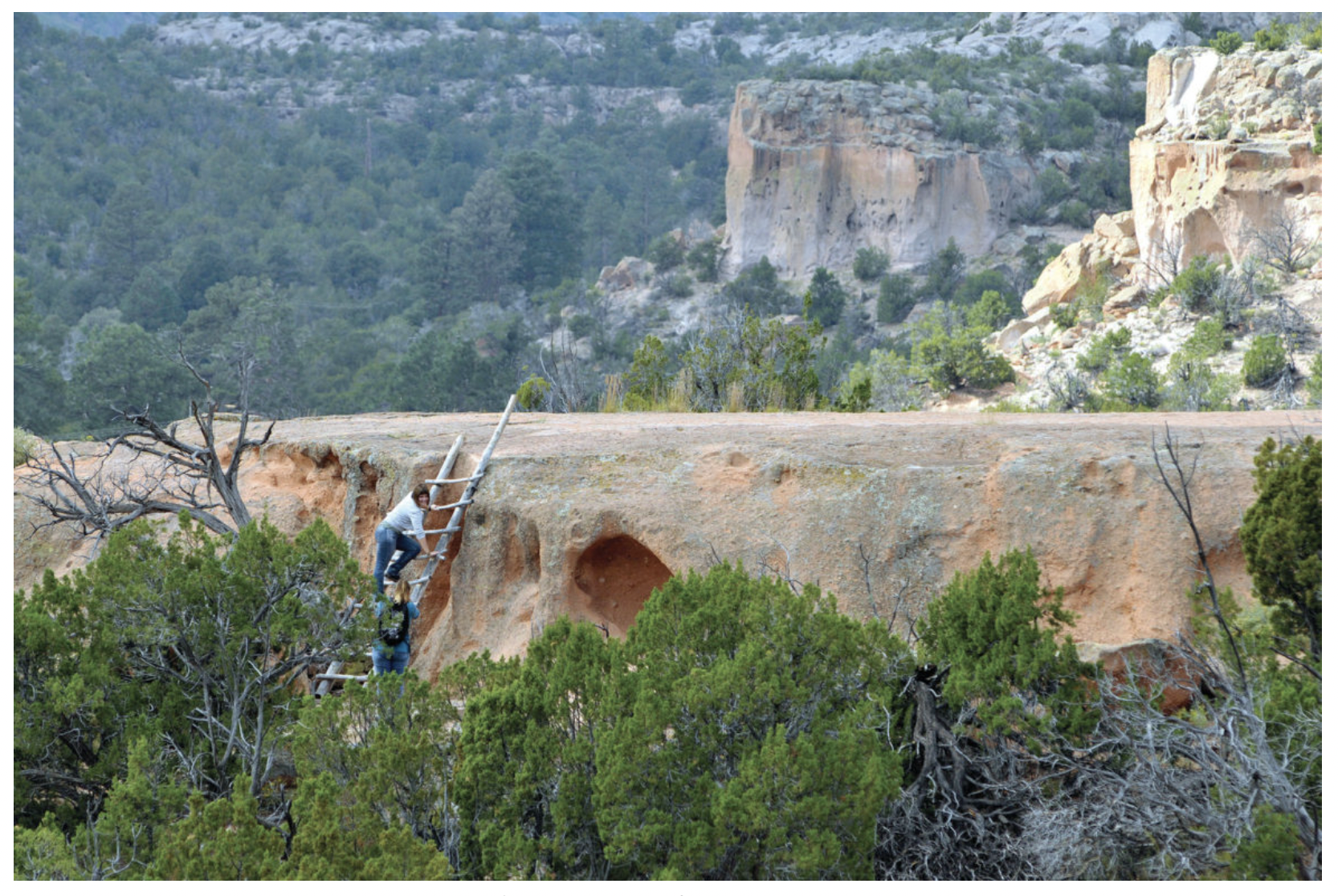 Screen Shot 2023-06-26 at 9.41.45 AM.png