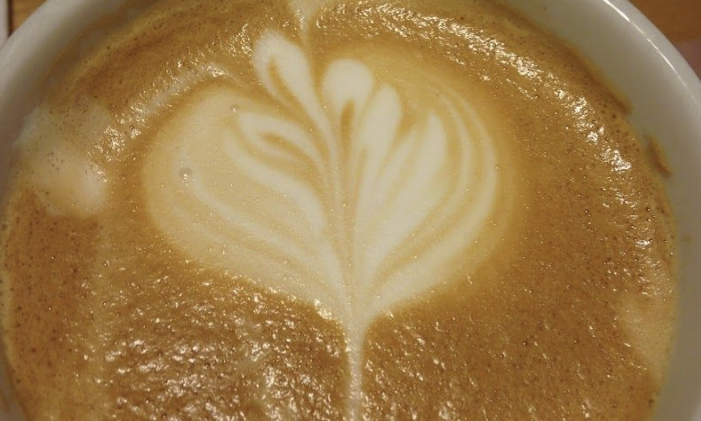 Screen Shot 2023-06-26 at 10.53.56 AM.png