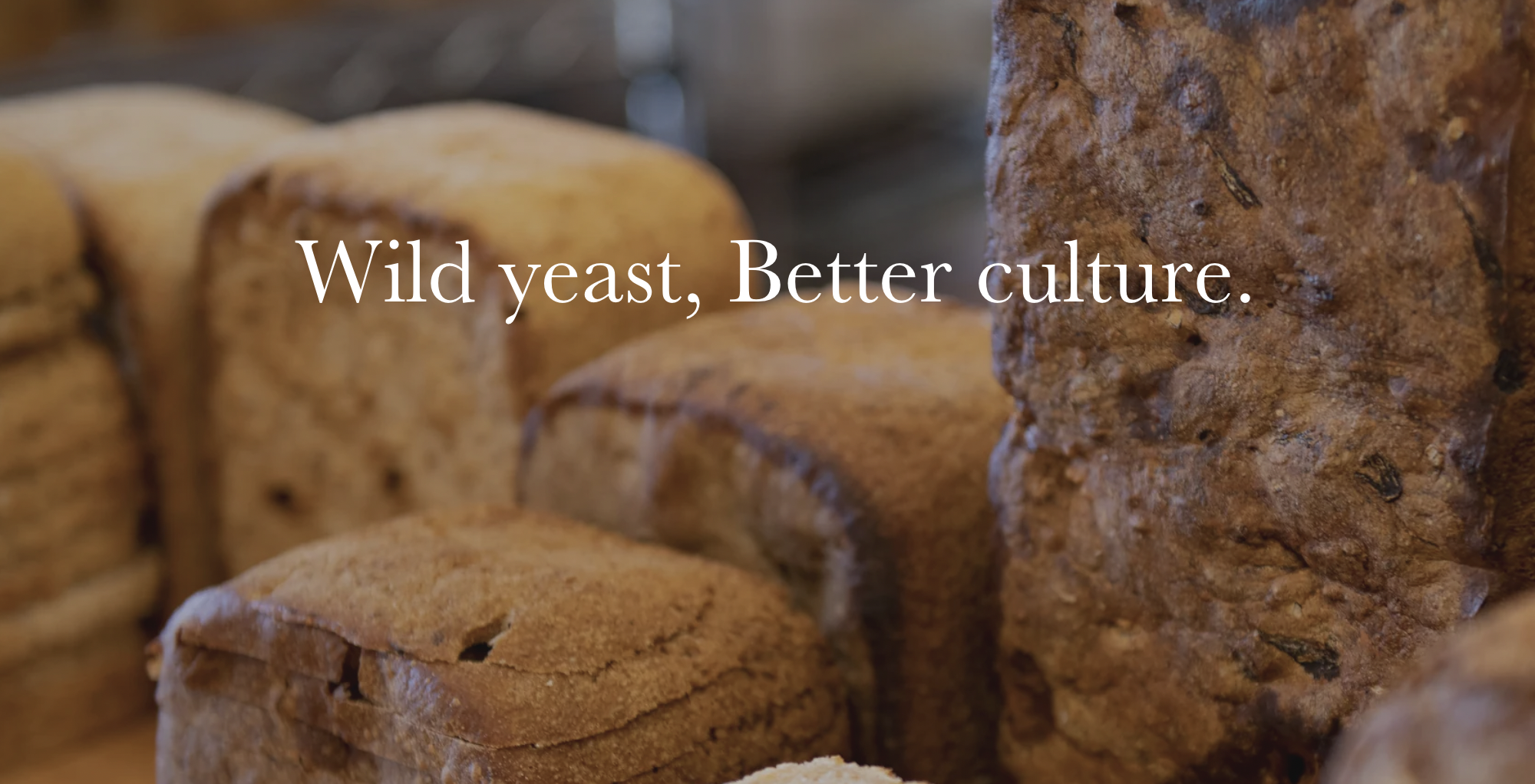 Screen Shot 2023-06-26 at 12.03.08 PM.png