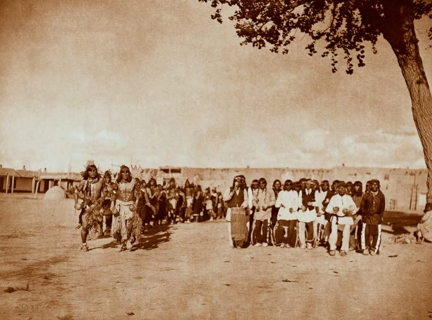 Hacienda del Sol — 5