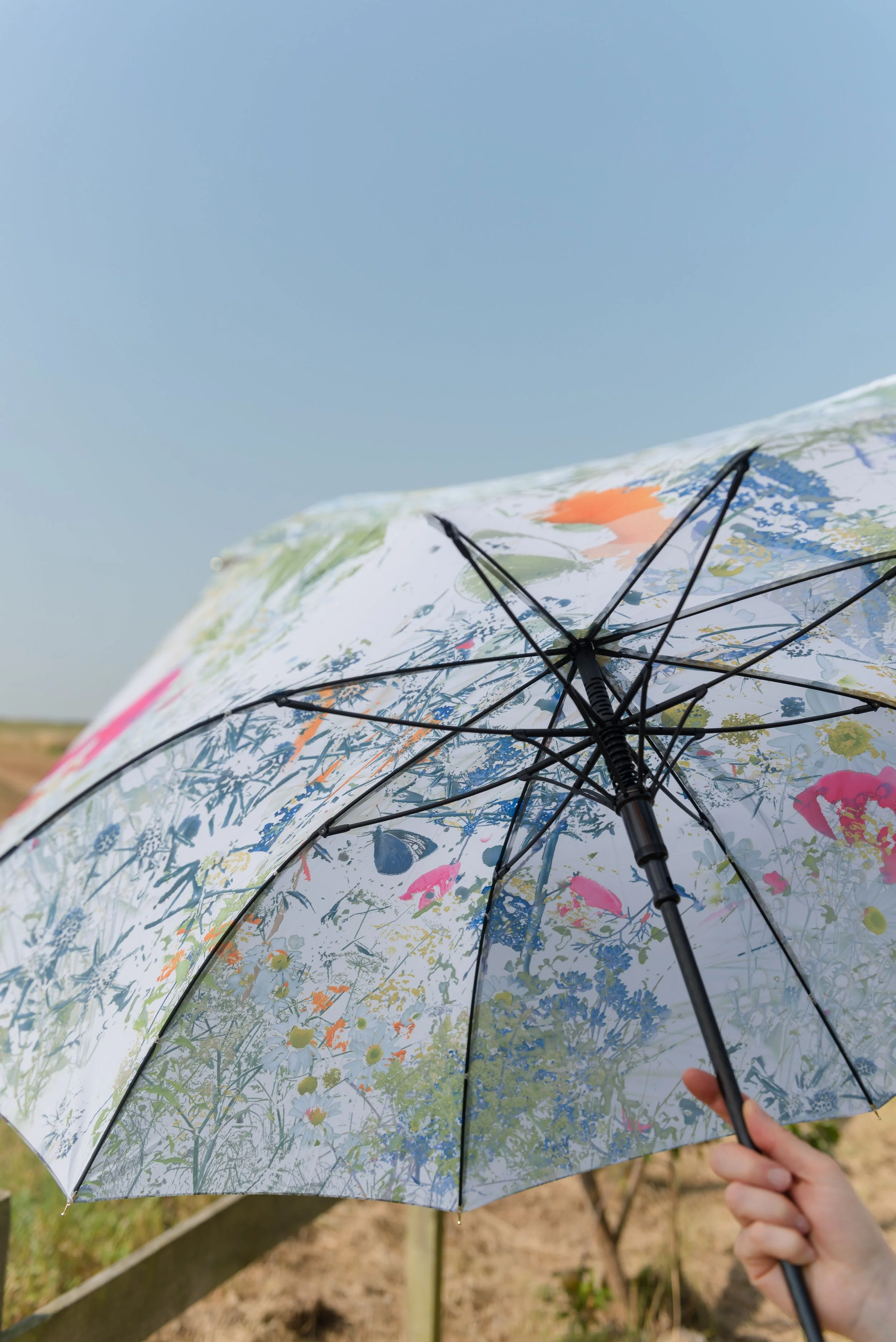 Mairi Helena Umbrellas-5.jpg