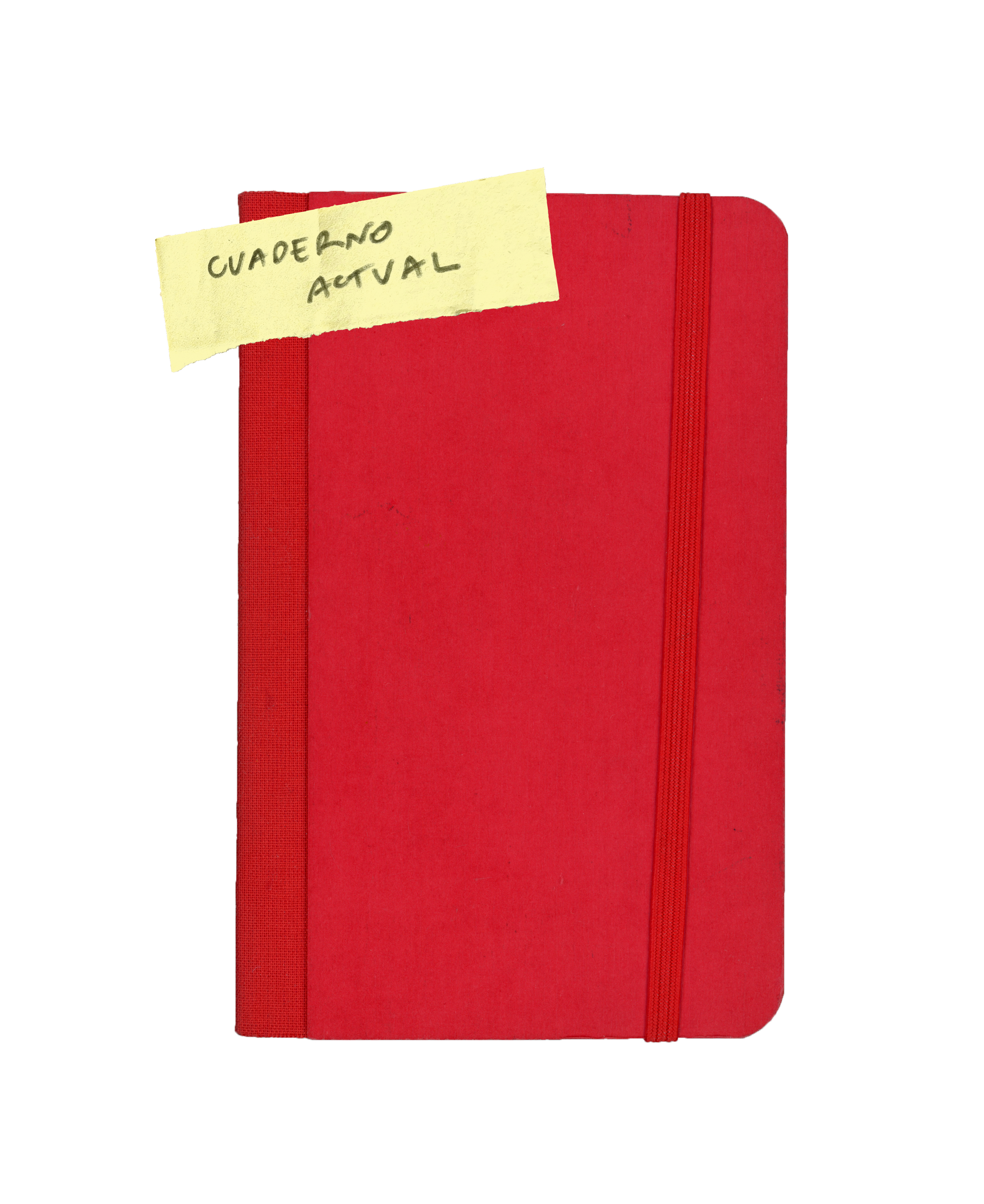 febrero 2026 - actualidad