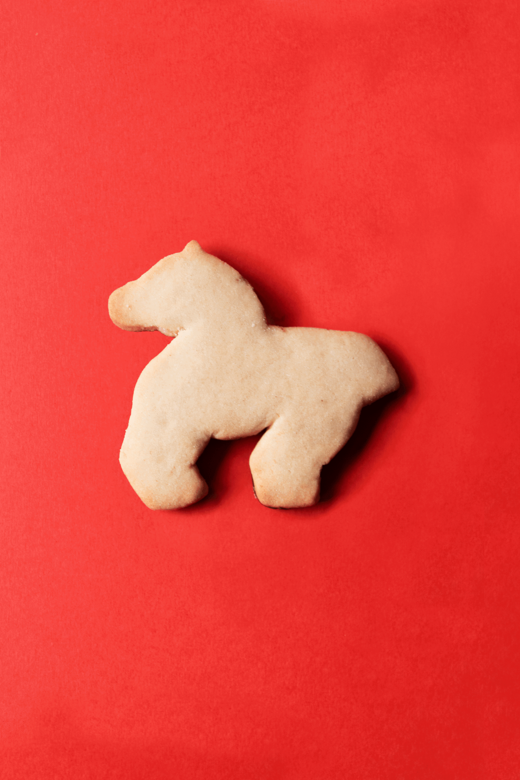 animación copia 2.gif