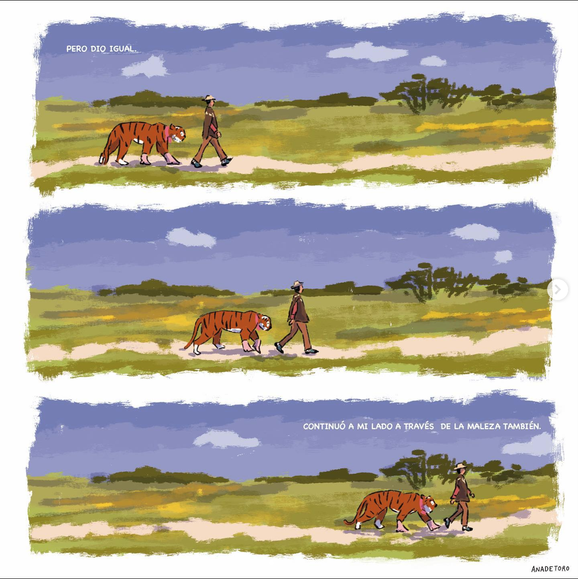 11.CAMPO.png