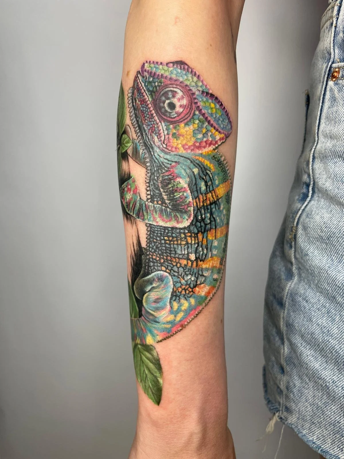 Steph- Chameleon