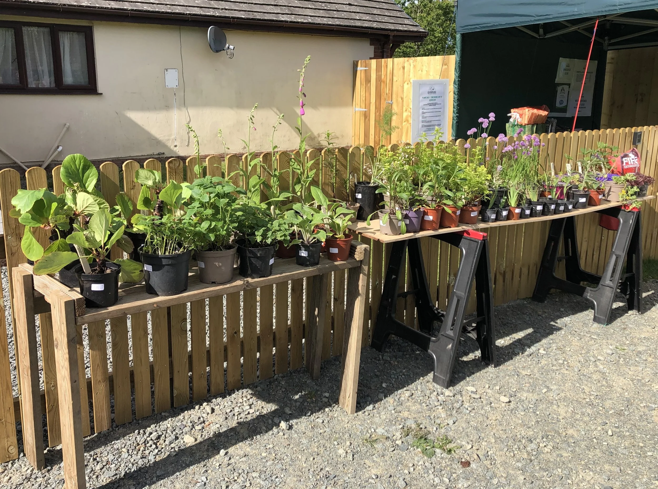 Riverside Plant Stall