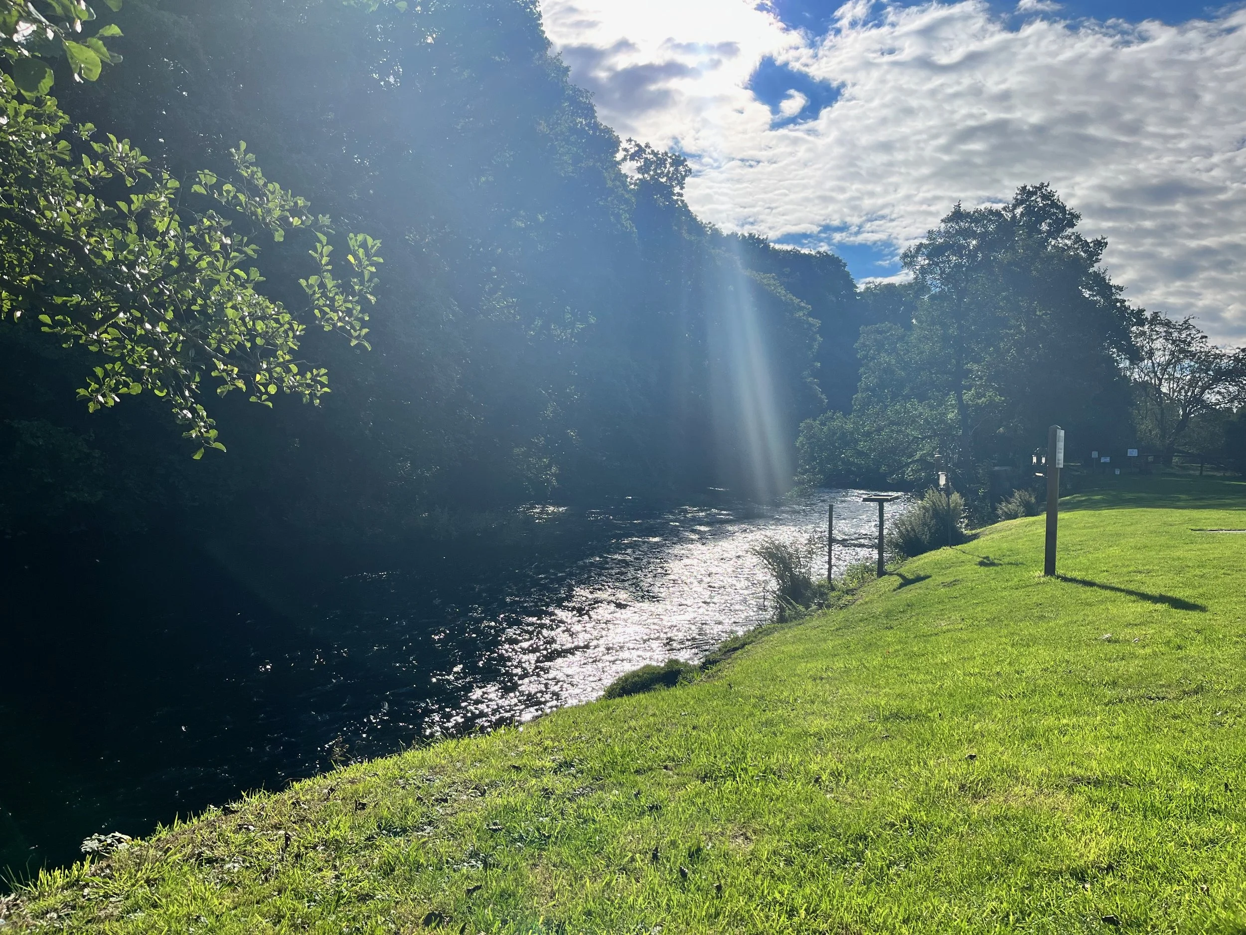 Spring and early summer at Riverside