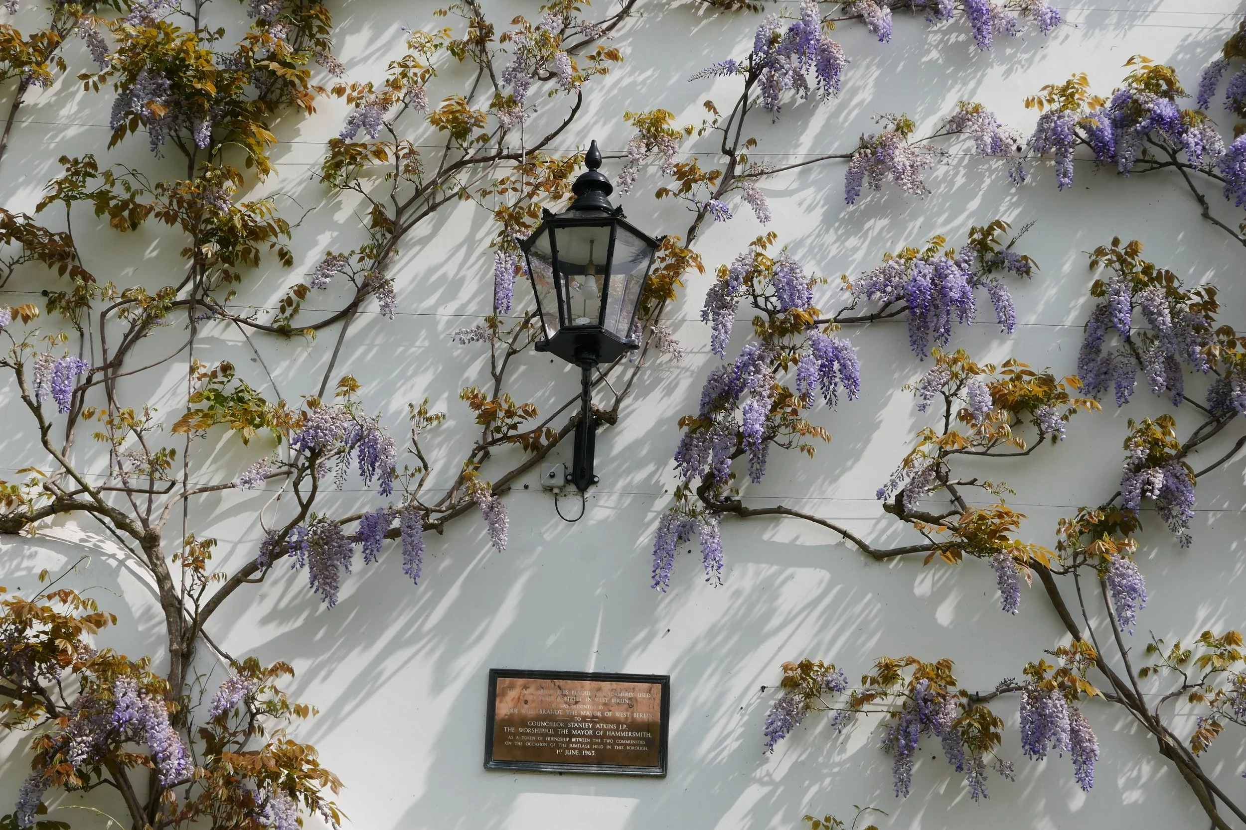 European History Walk  