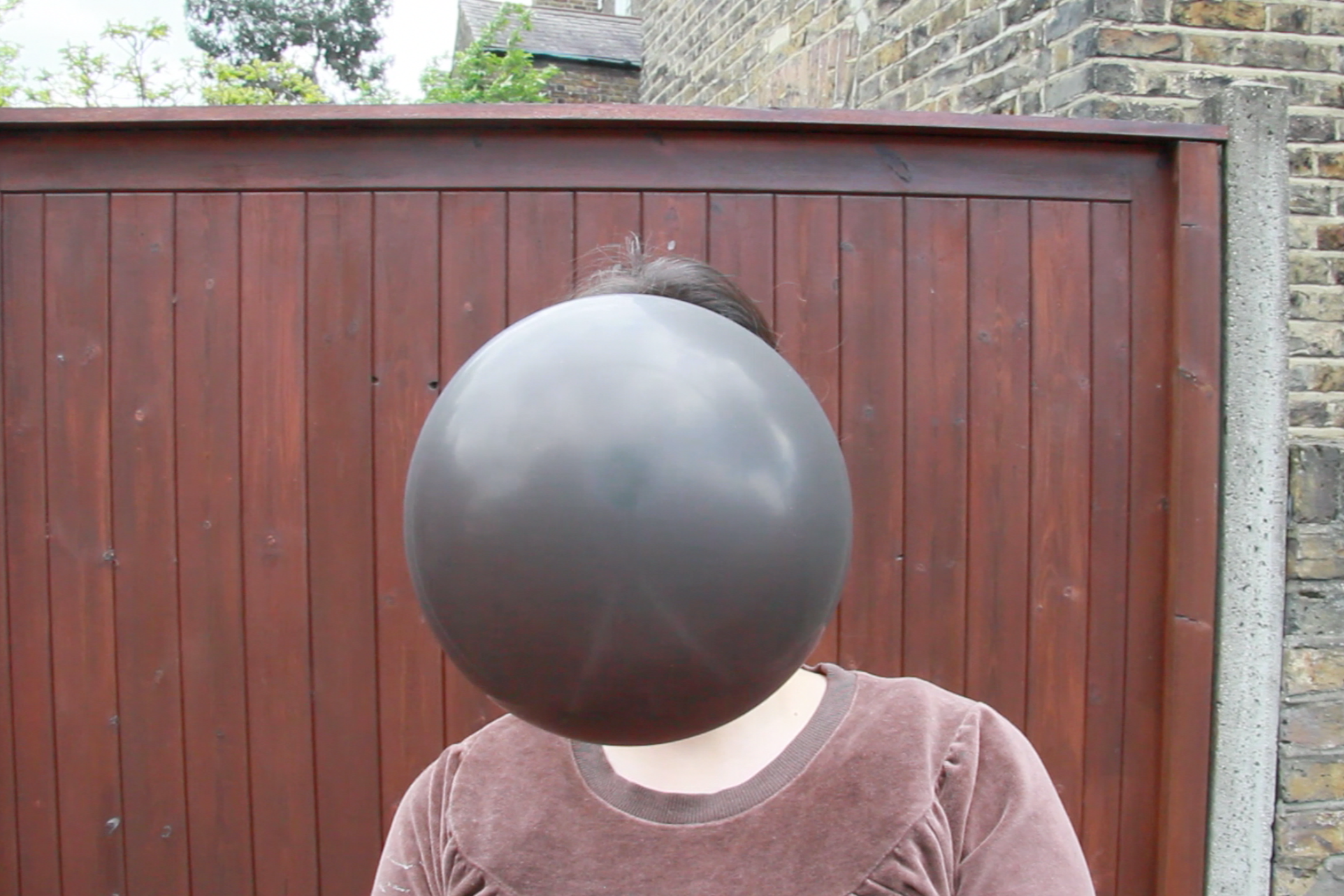 Balloons (Brown)   60x42cm   1/10