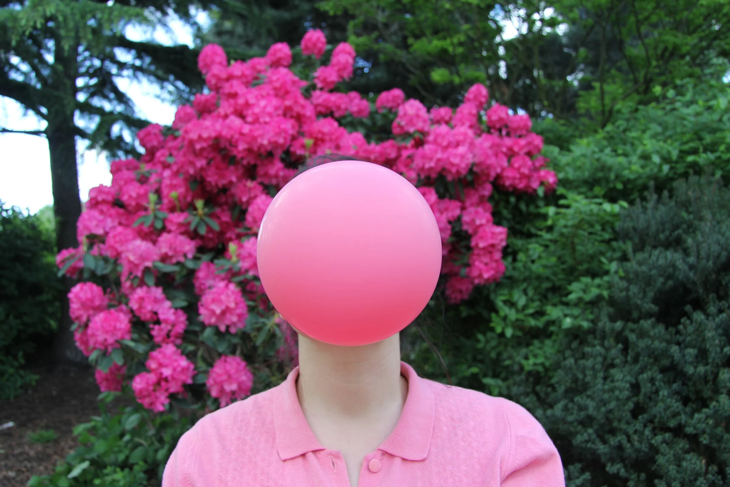 Balloons (Pink)   60x42cm   1/10