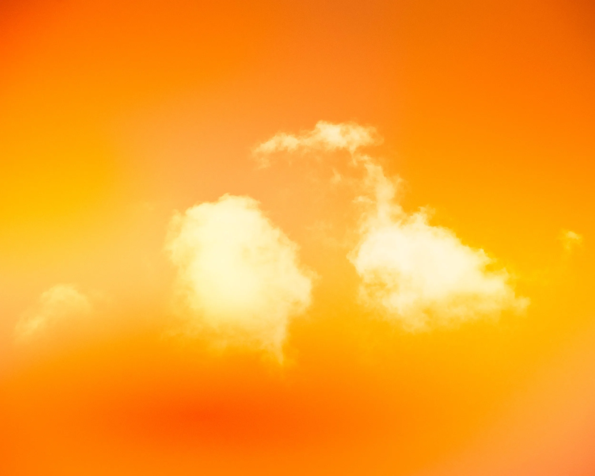 "Glimmer XII [Leaf Crunch]". 2025. Limited edition acrylic mounted giclée print.