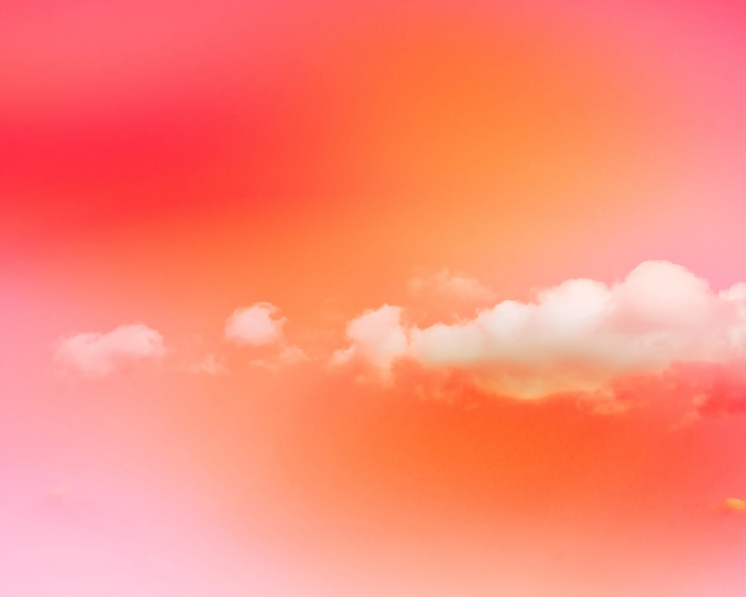 Glimmer VII [Hibiscus]_Bonac2025_clouds_4x5_101725-6.jpeg