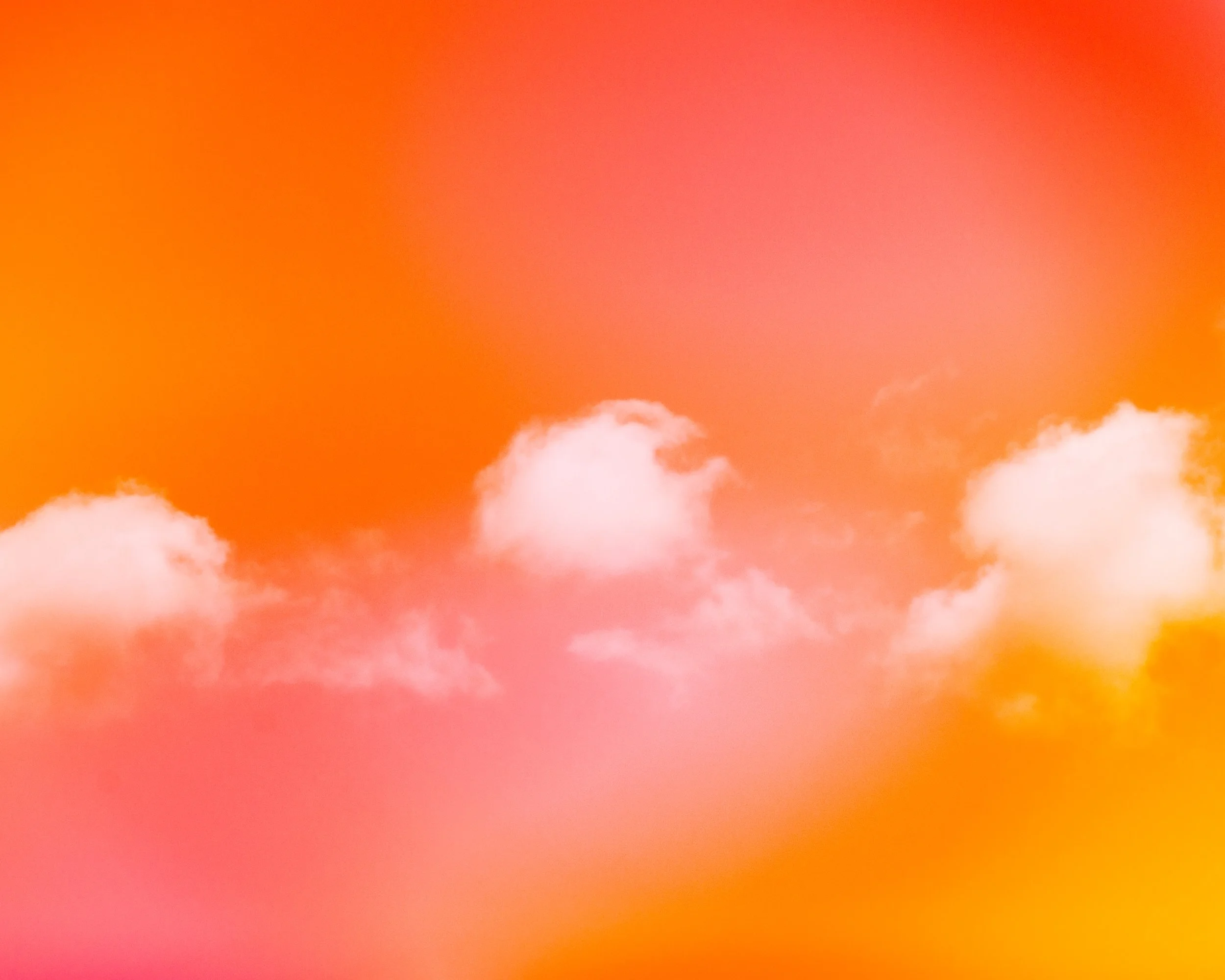 "Glimmer X [Dried Mango]". 2025. Photography.