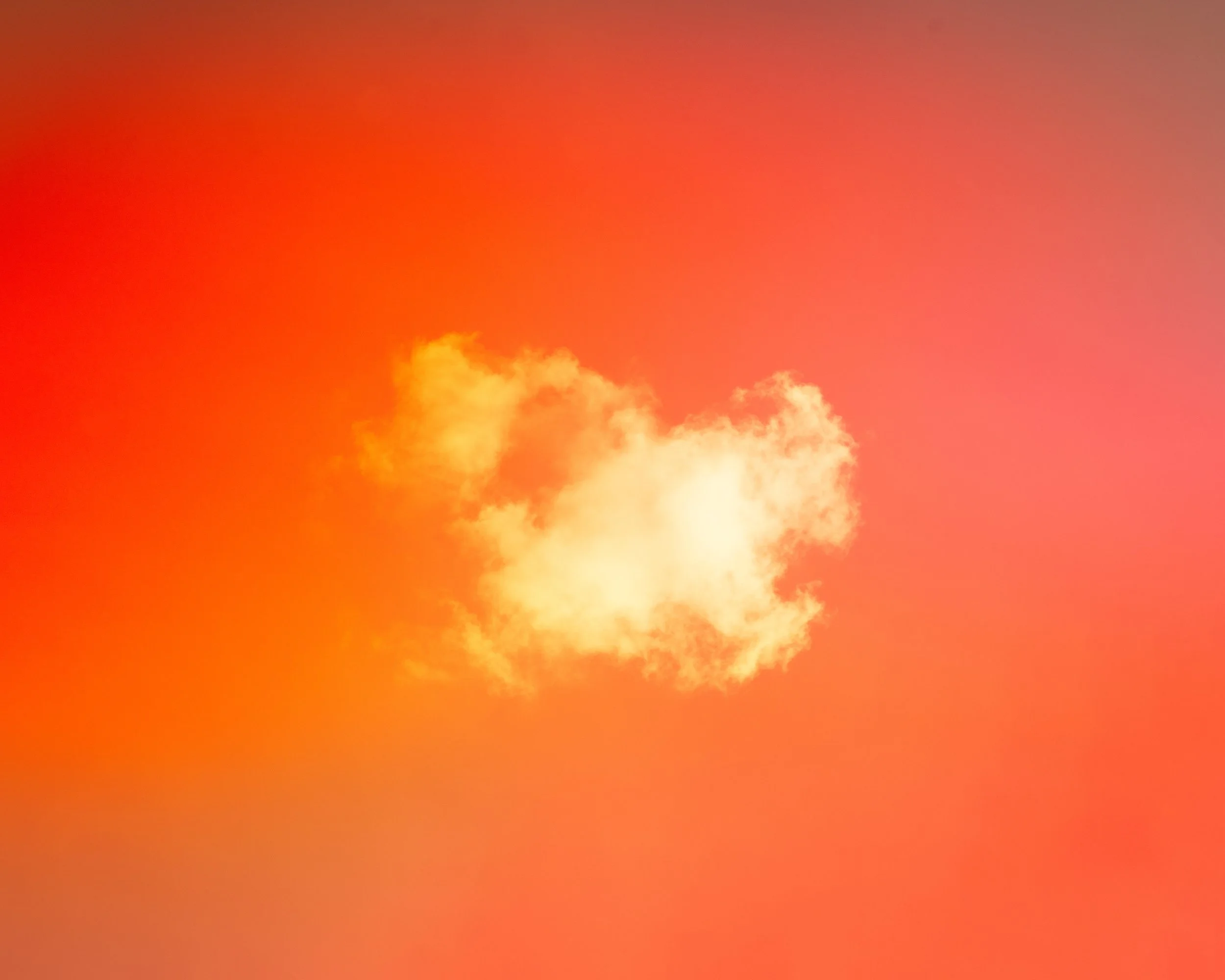 "Glimmer II [Gamma]". 2025. Photography.