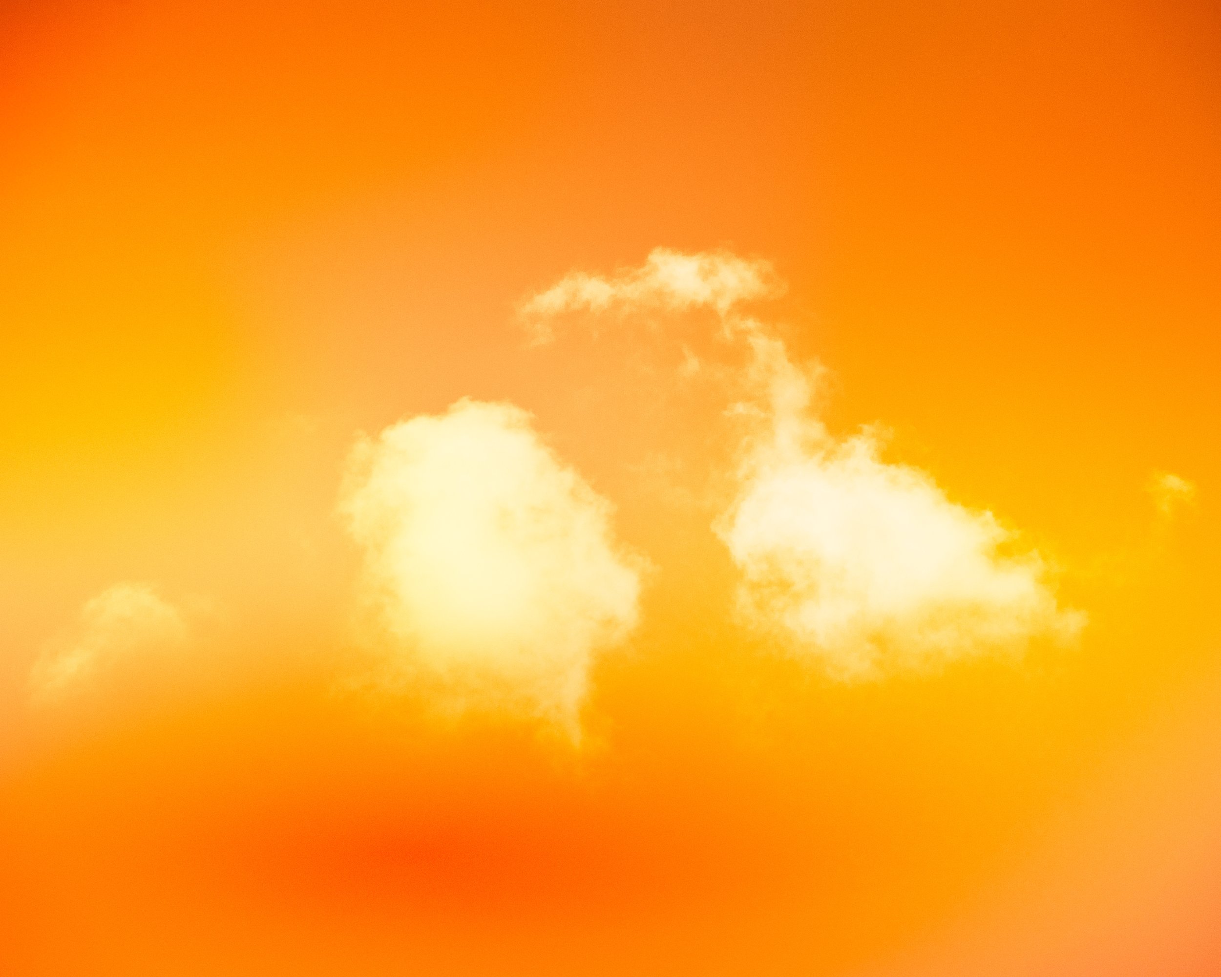 "Glimmer XII [Leaf Crunch]". 2025. Photography.