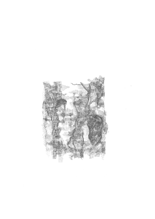 Hand drawing. Birch tree stem. Black and white gif