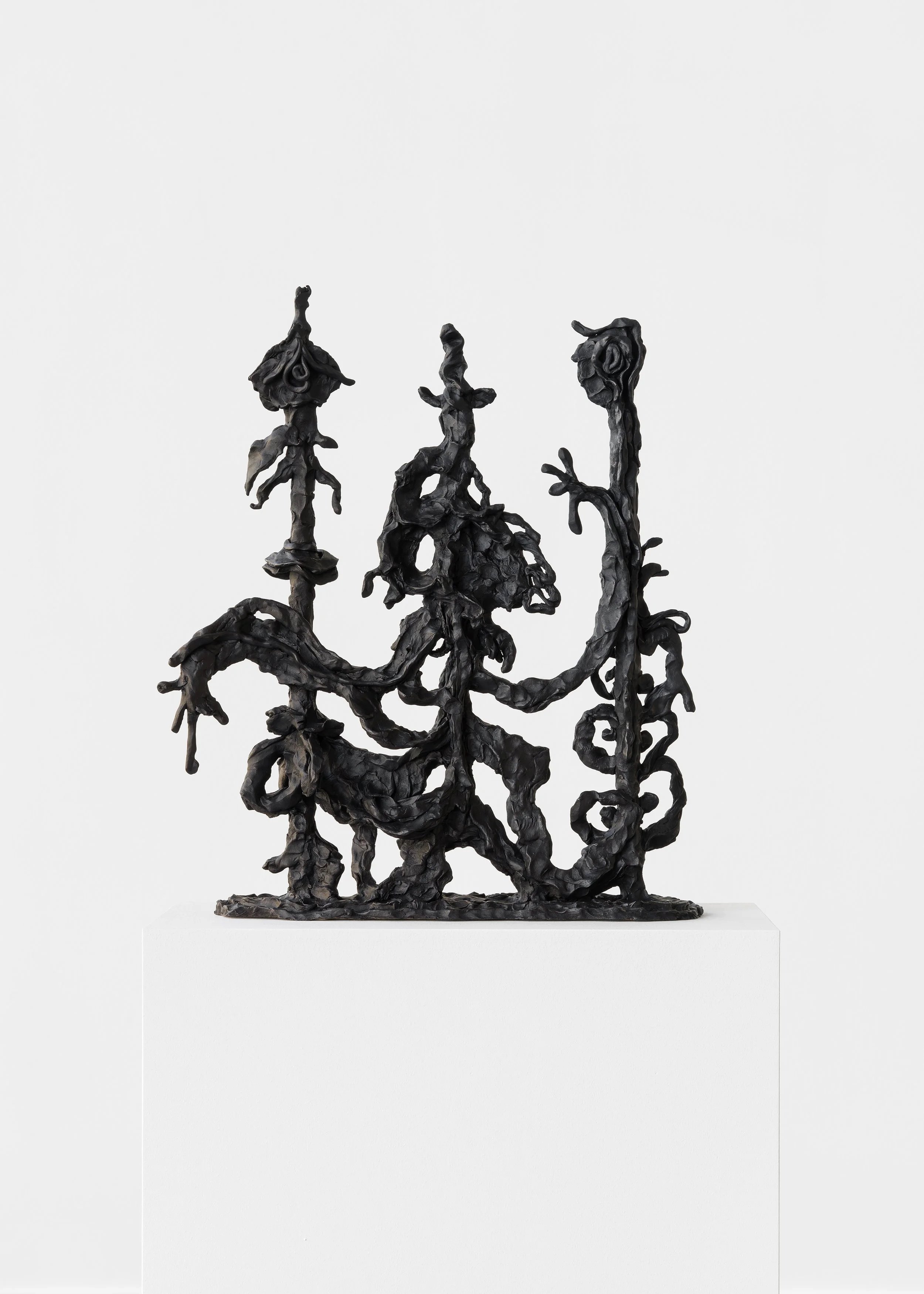 Anders Hald Jacob Bjorn Gallery