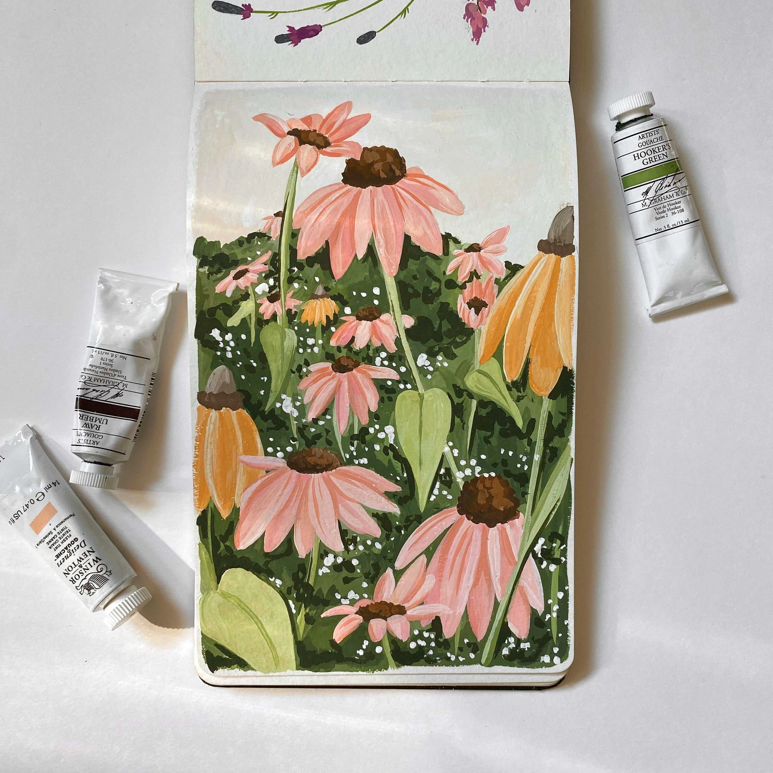 Painting-Coneflowers-Sketchbook-01.jpg