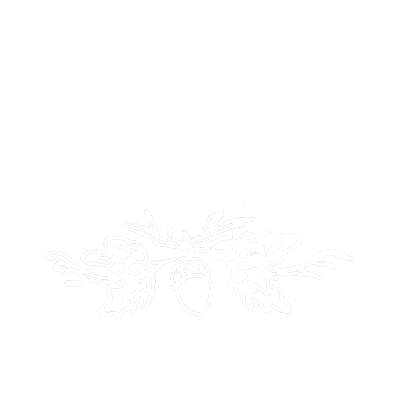 Soli Deo Gloria Weddings &amp; Events