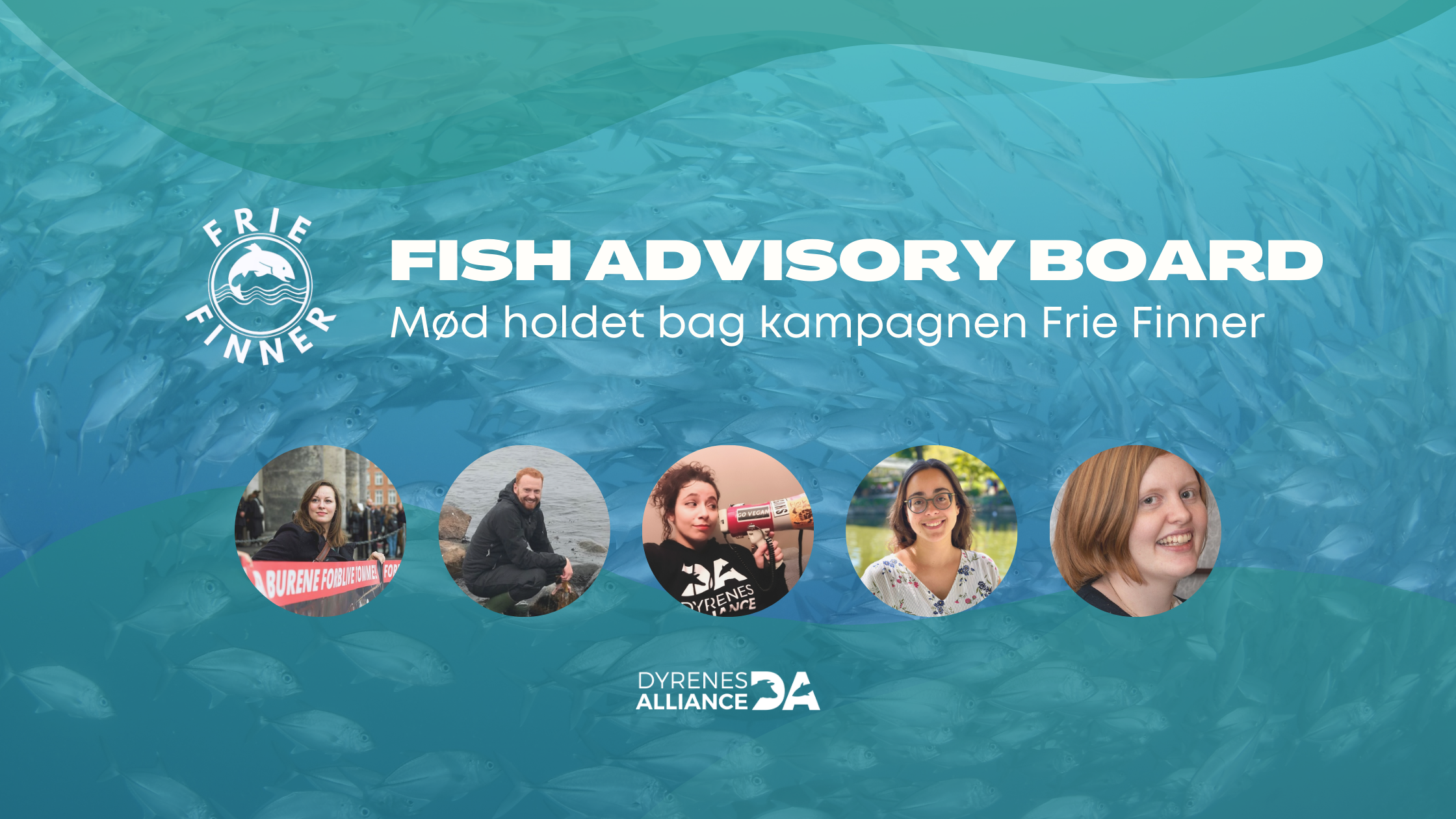 Fish Advisory Board: Meet the team behind the Free Fins campaign