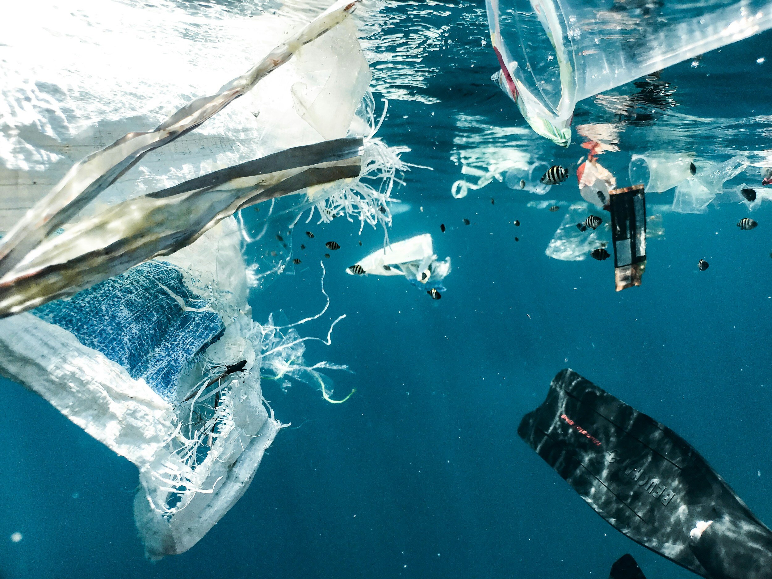 Image of pollution in the oceans. Plastic floating on the surface of the water