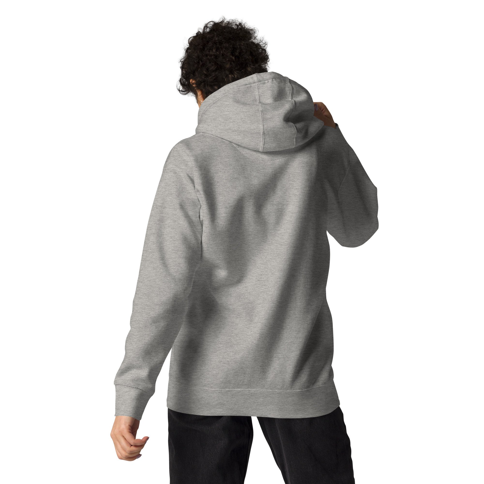 unisex-premium-hoodie-carbon-grey-back-657ae9db3a58d.jpg