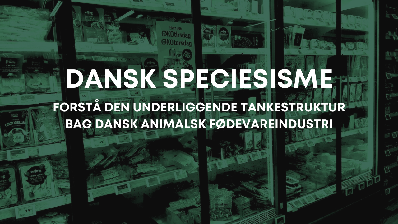 Danish Speciesism: Understanding the underlying thought structure behind the Danish animal food industry