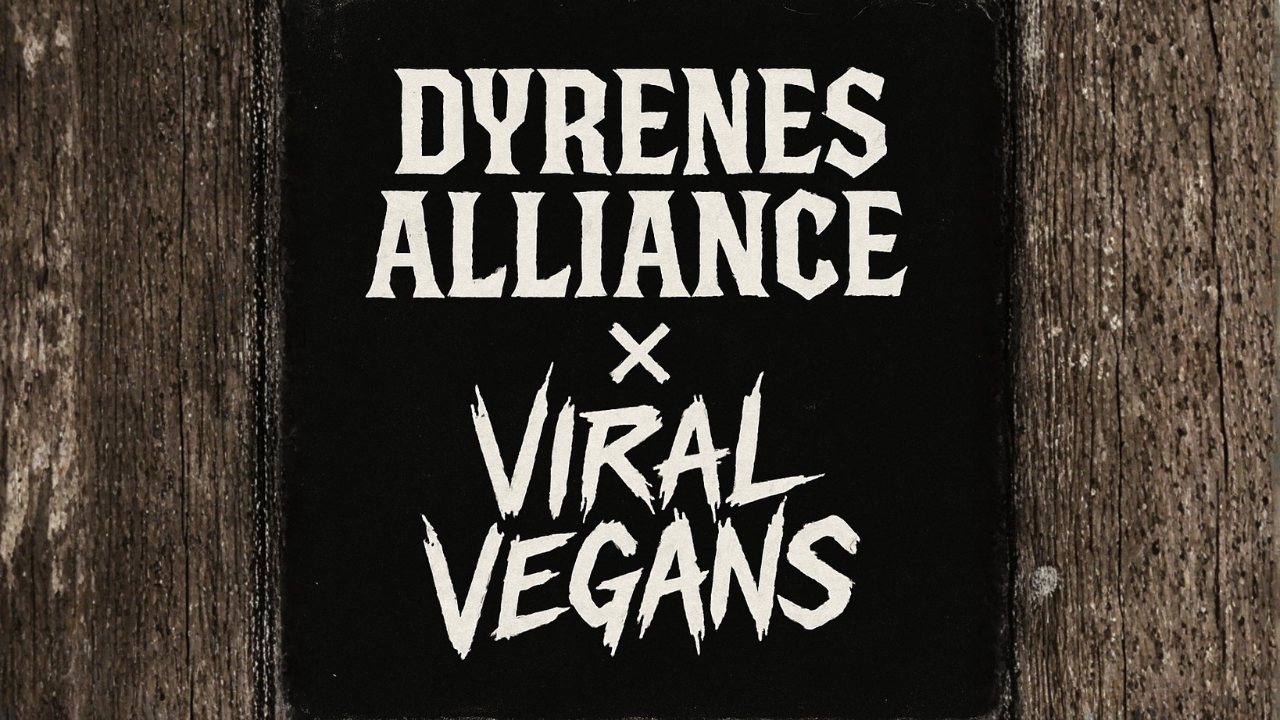 Vi skal til Finland og lære af deres aktivister (1/4)