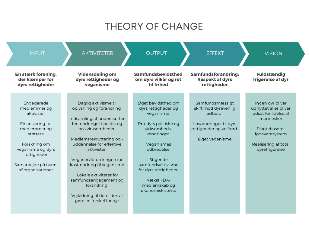 Theory of Change - how we create change in Dyrenes Alliance