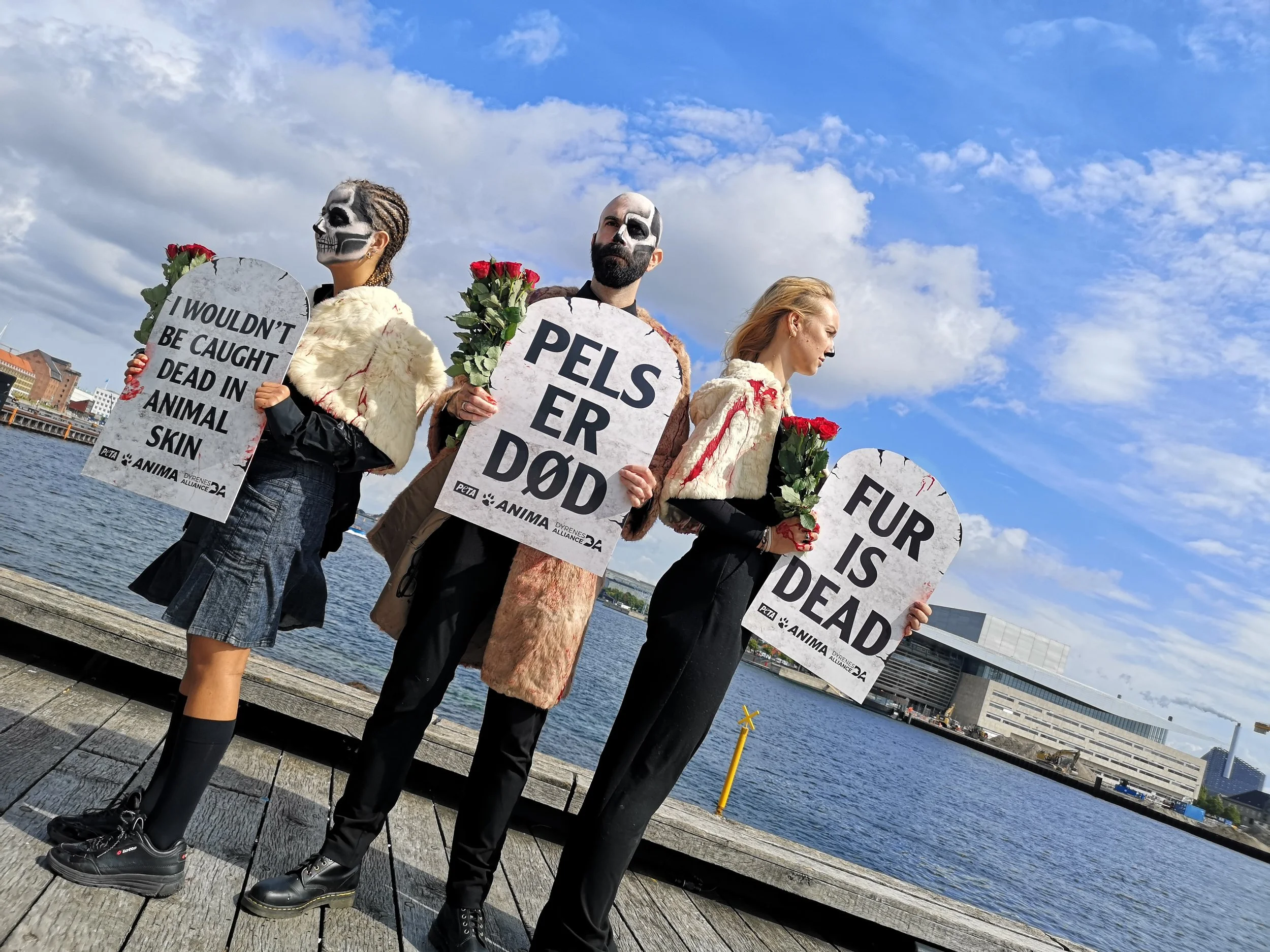 Protest, fur, 2.jpg
