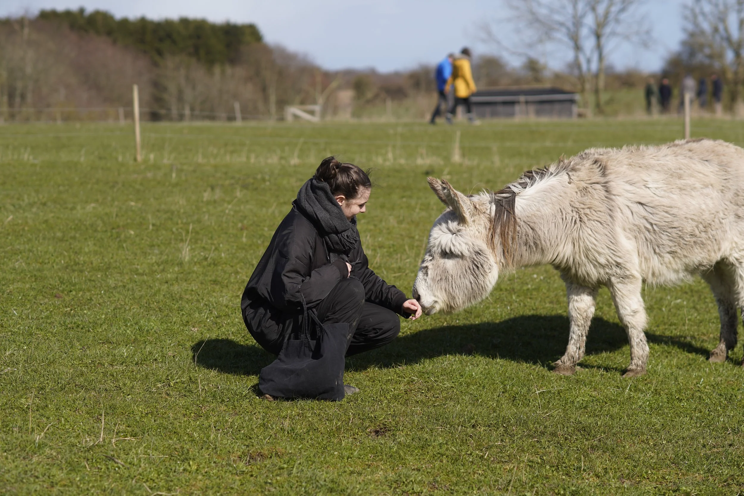 Visit to Dyrenes Frie Farm.JPG