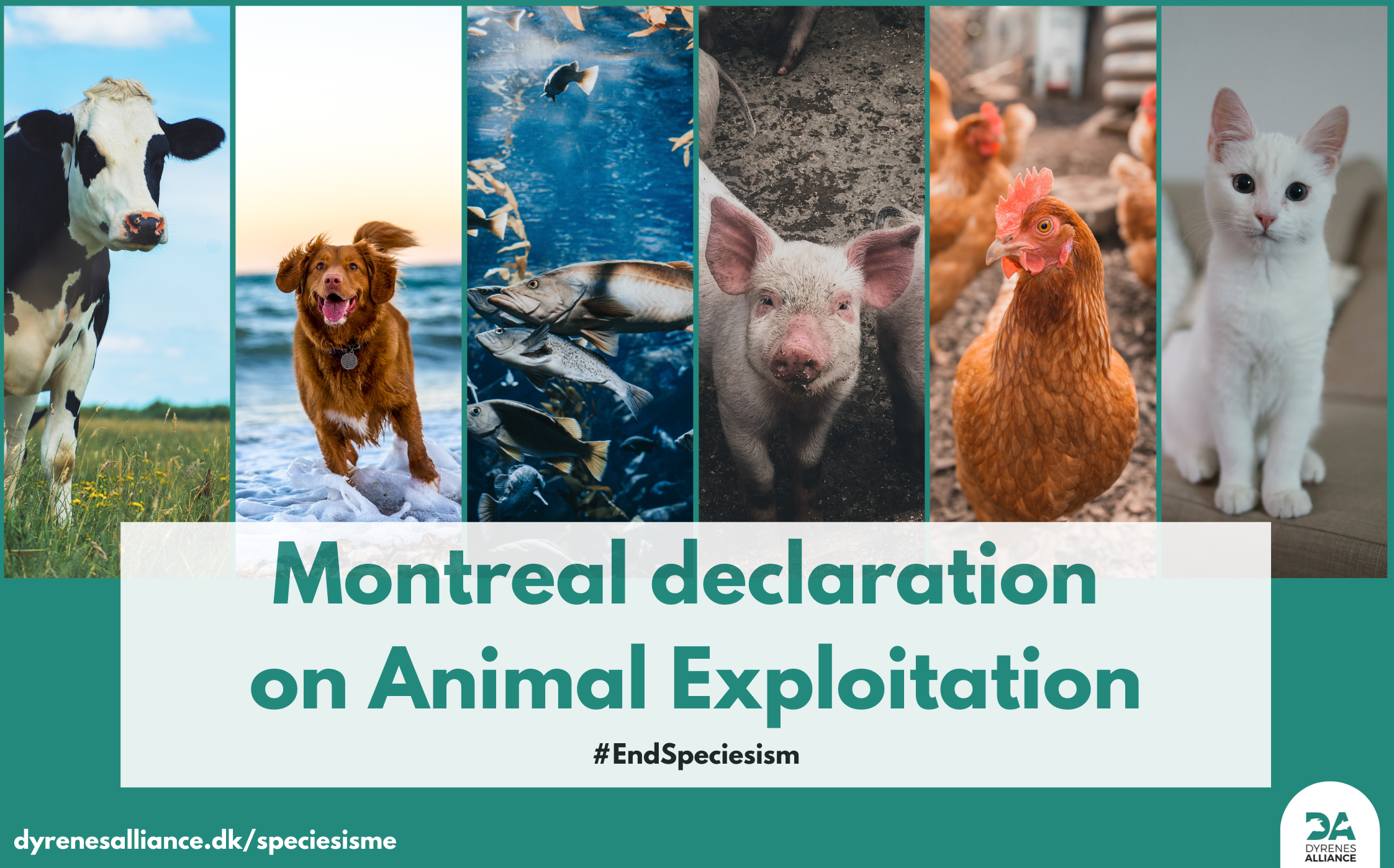 Historic Declaration for Animals! Montreal Declaration on Animal ...
